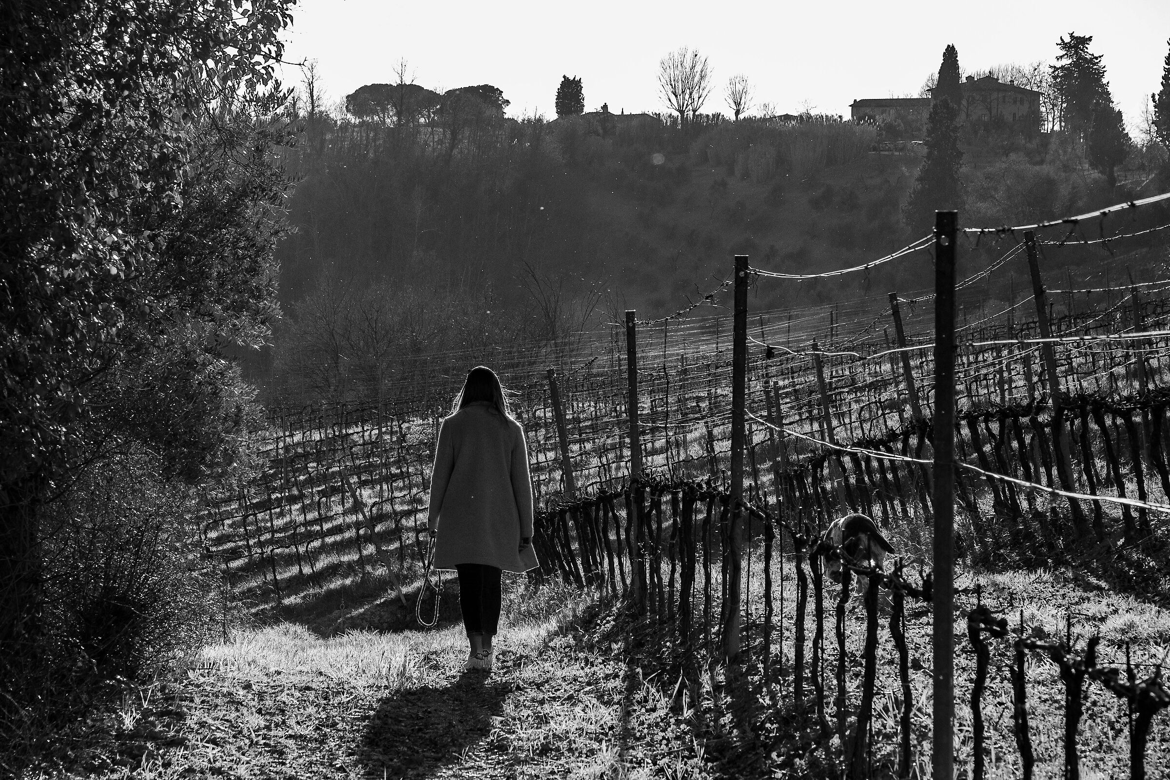 Passeggiata in campagna