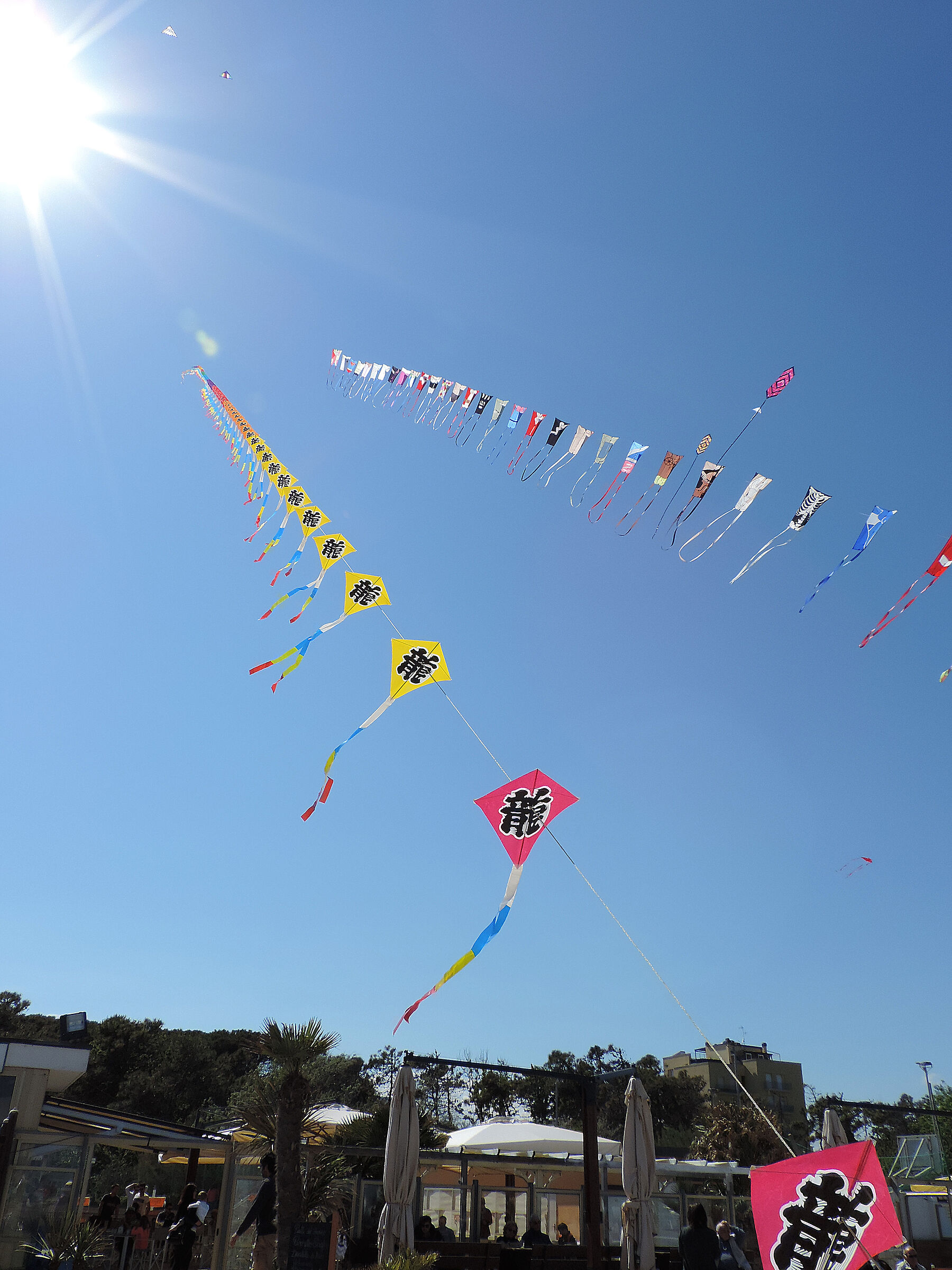 Aquiloni in direzione del sole