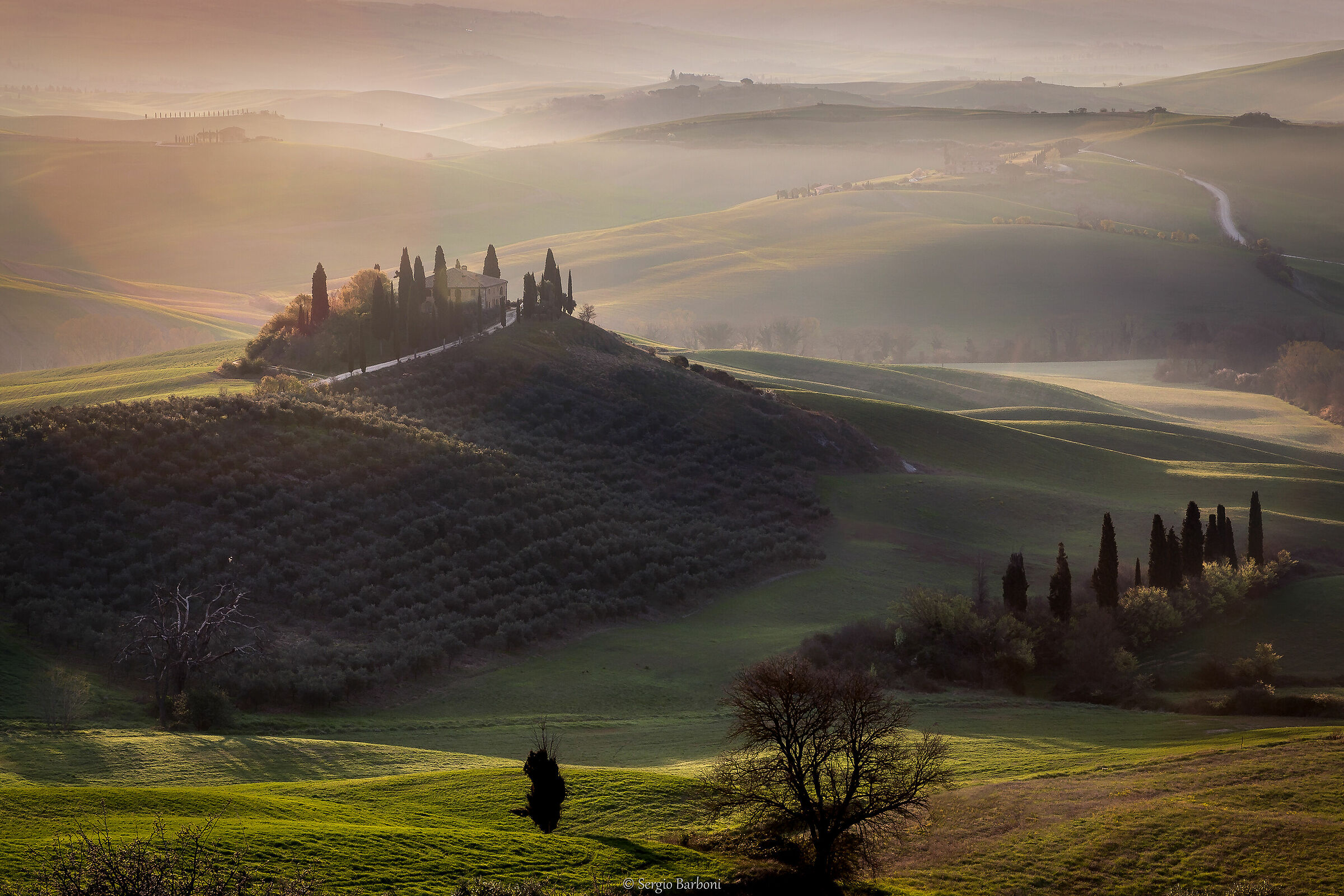 Morning at Podere Belvedere
