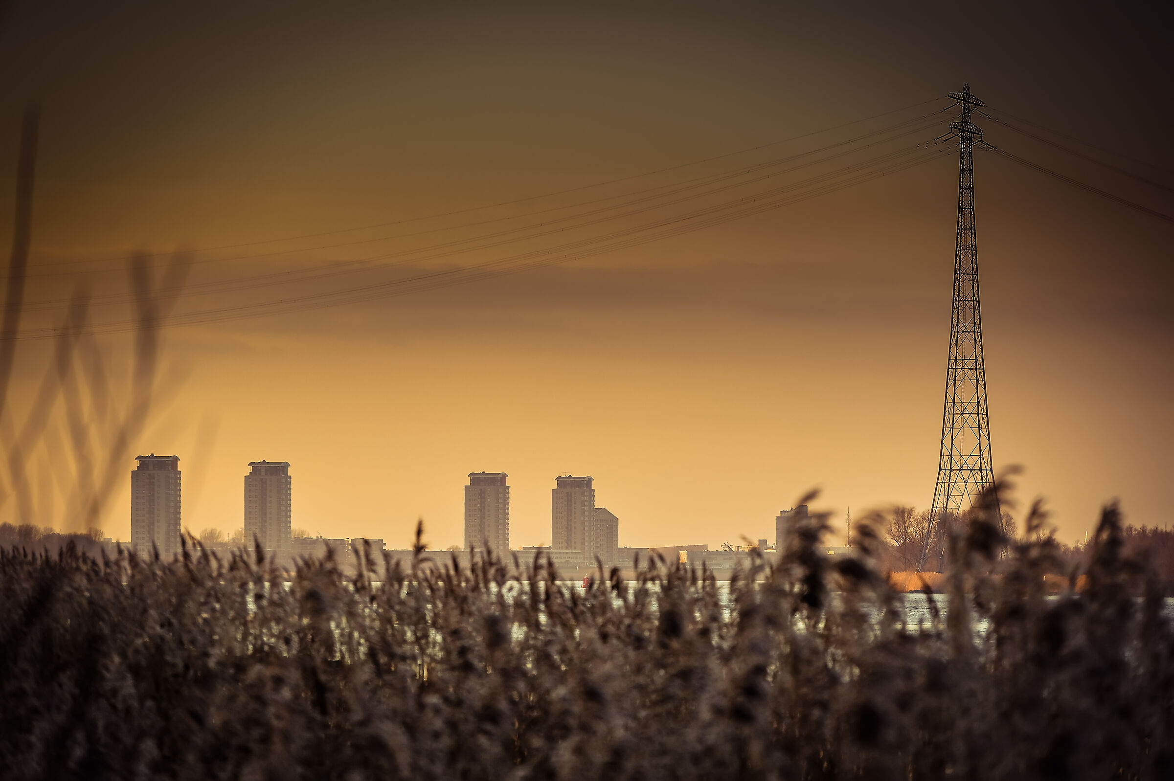 Maasboulevard Spijkenisse Paesi Bassi