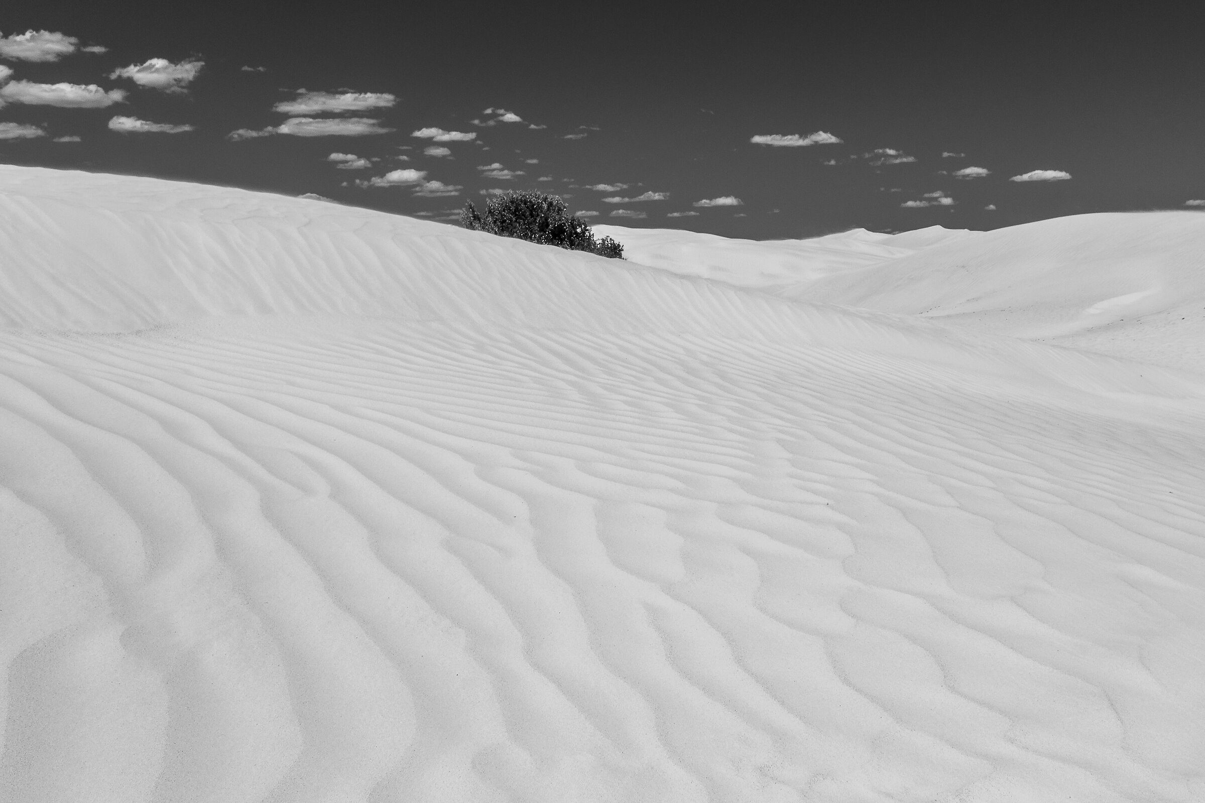 White sand desert