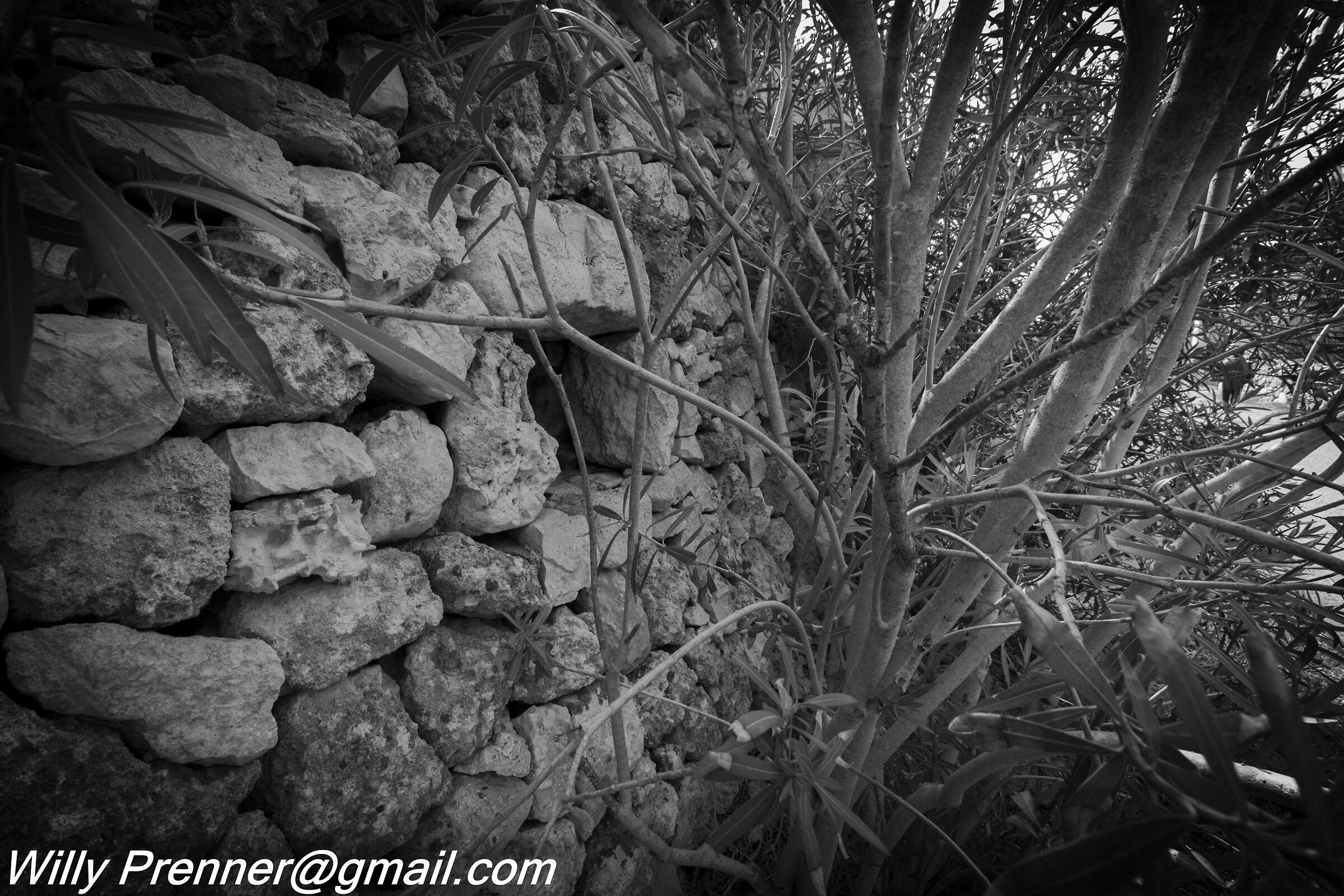 Dry Stone Walls 2