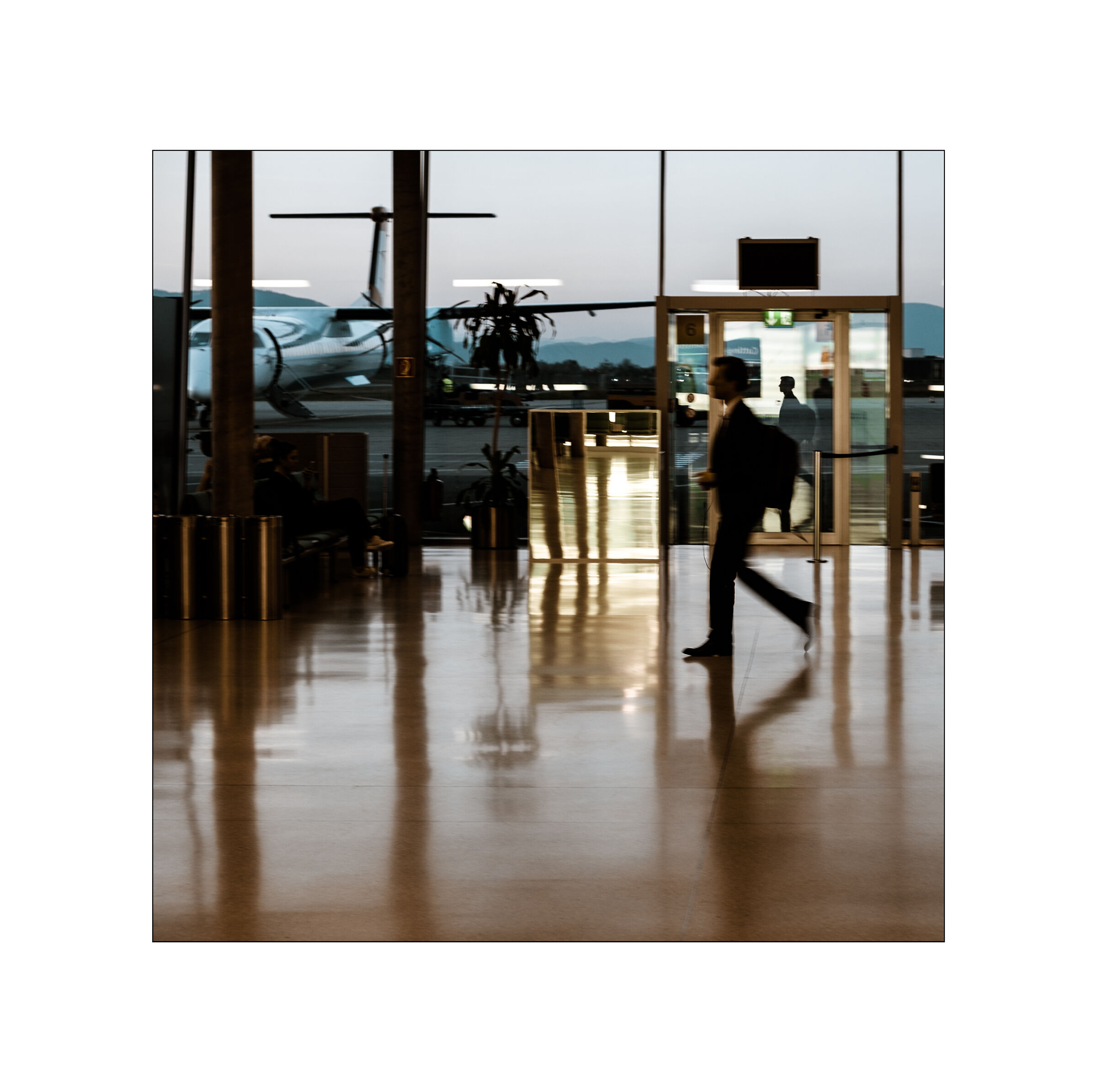 Transfer & Translations