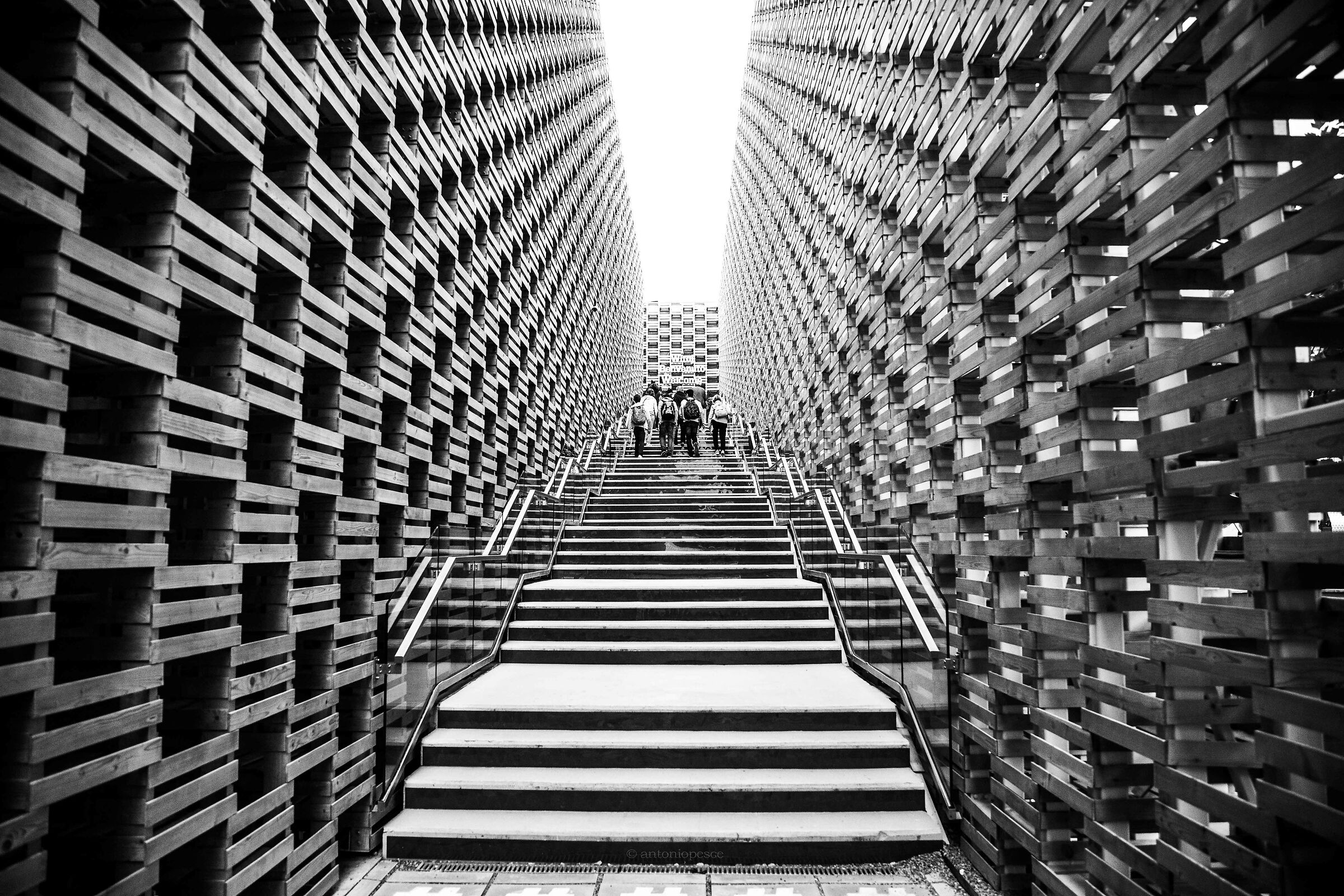 Padiglione Polonia Expo 2015