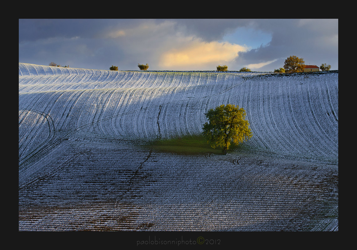 Countryside in Winter