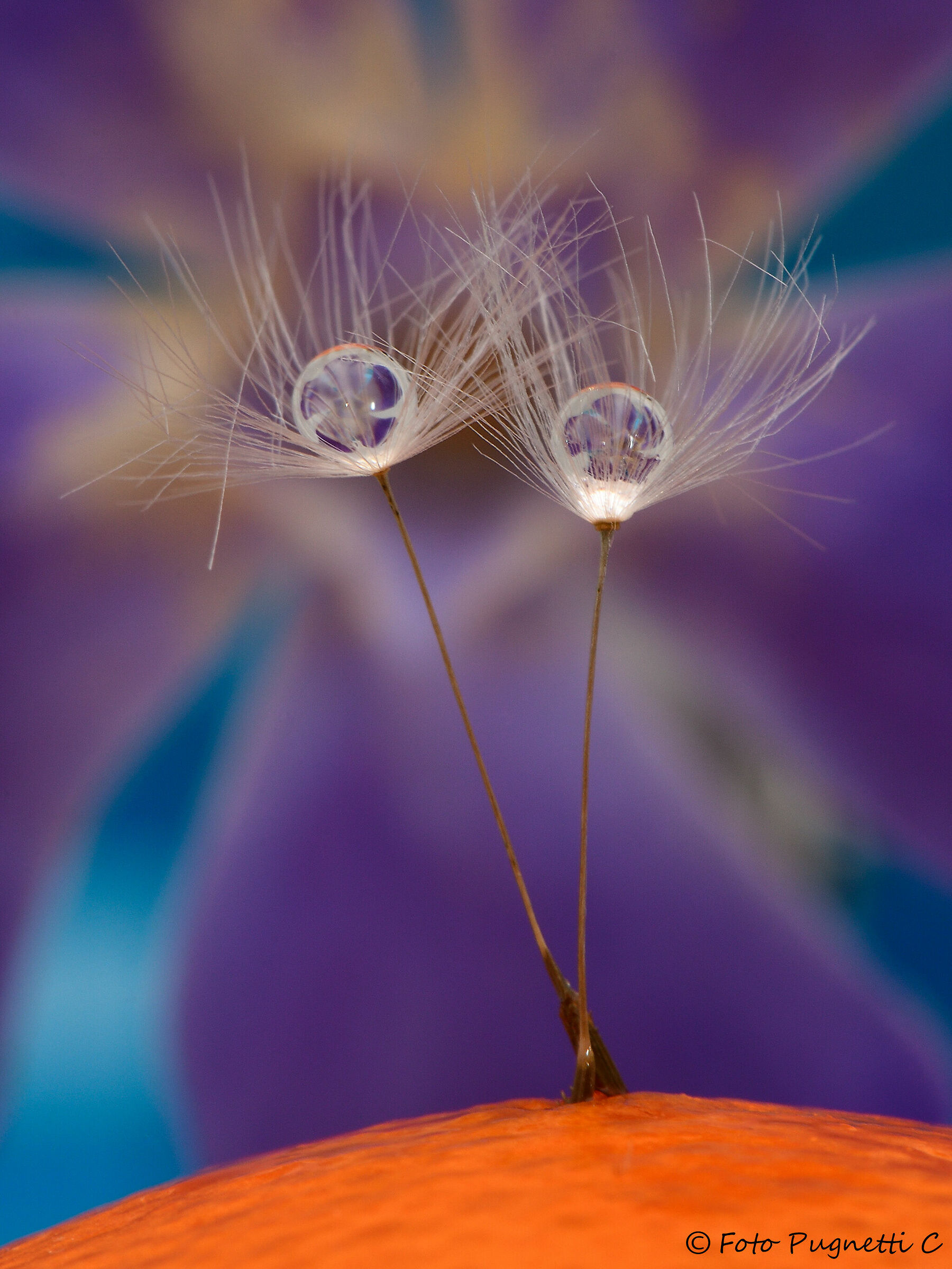 due goccie fantastiche