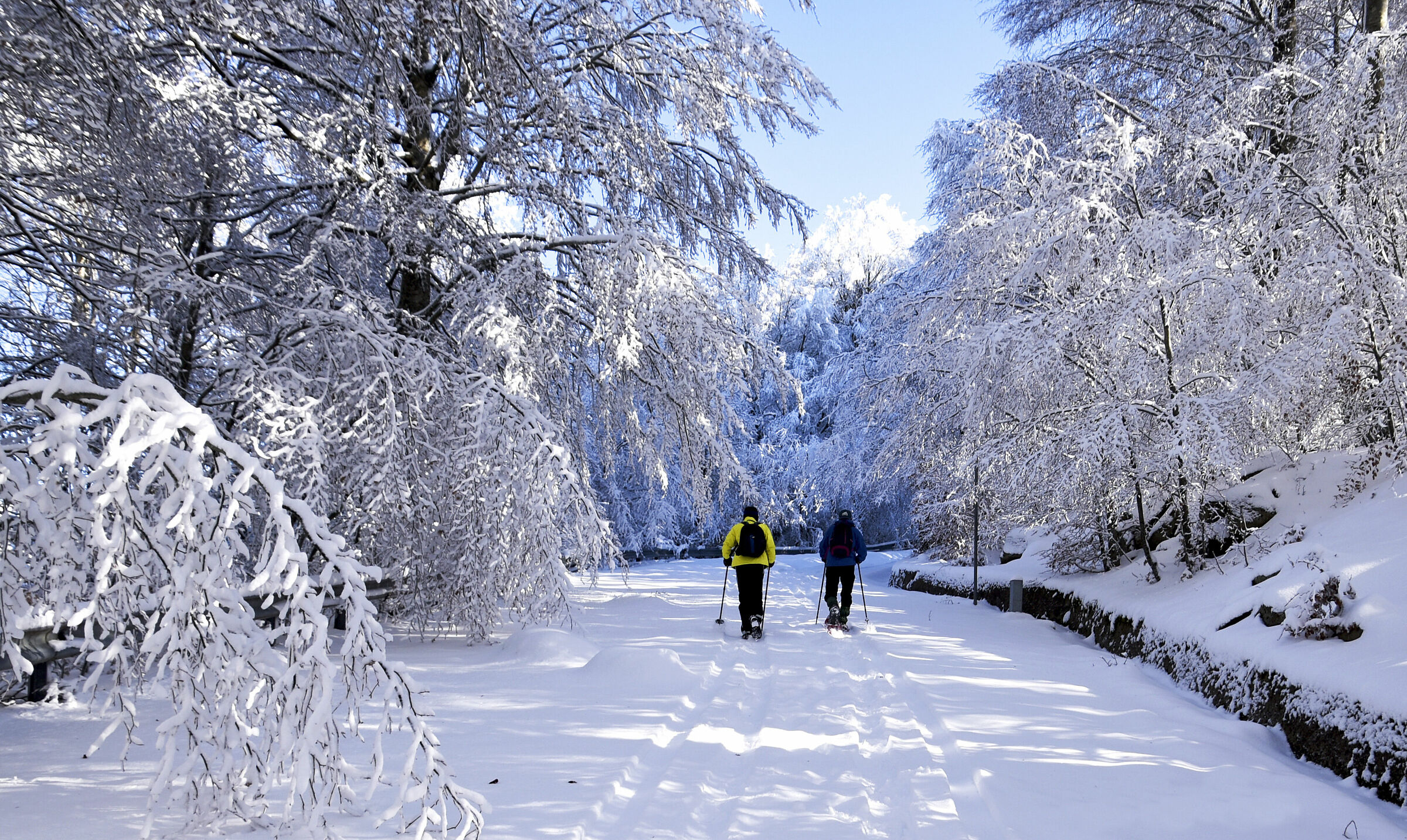 Su per il M.Gelbison