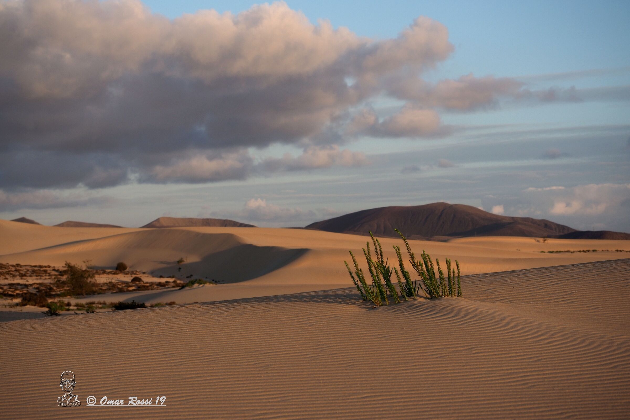 Corralejo