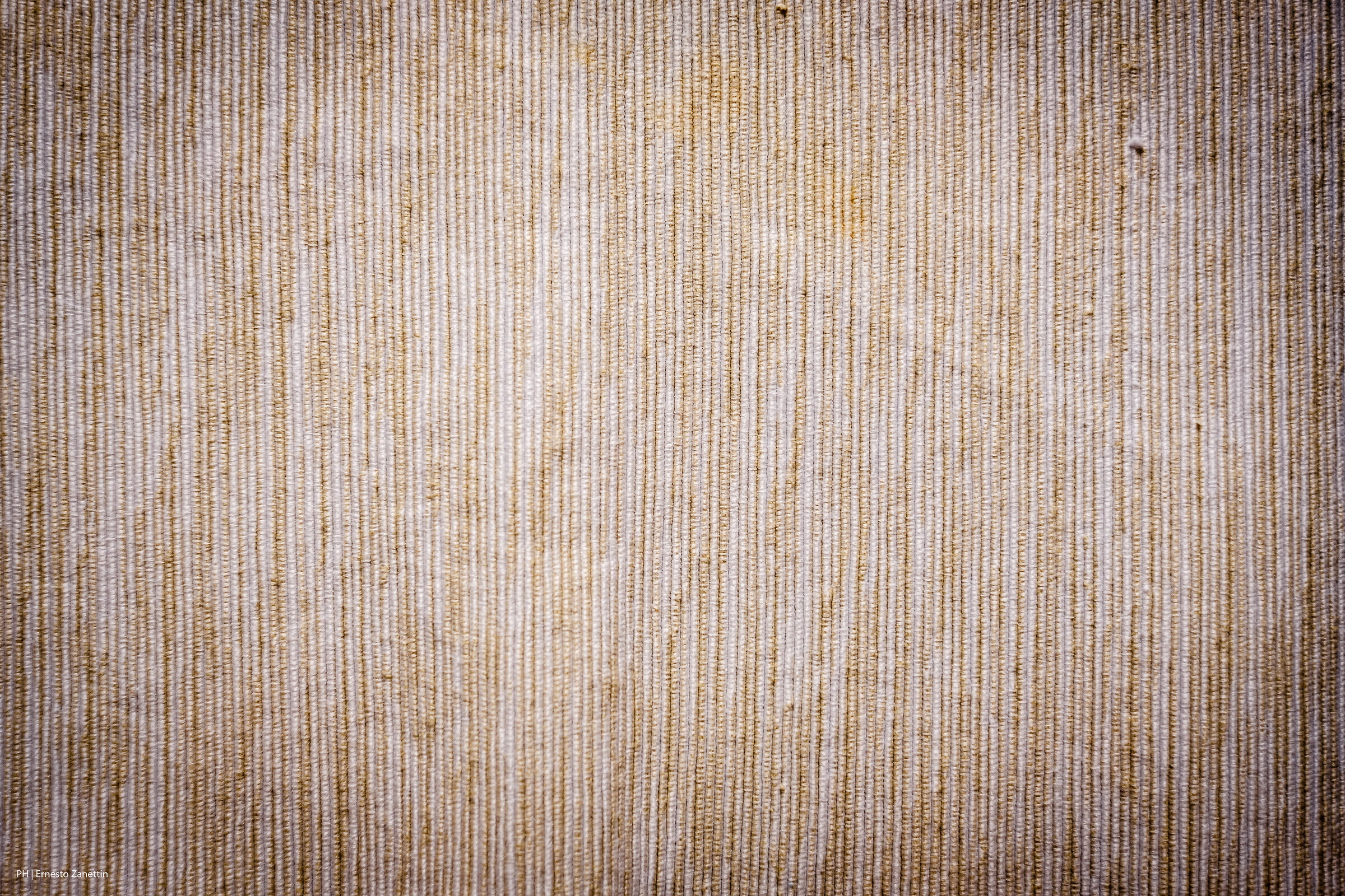 Texture of House 5