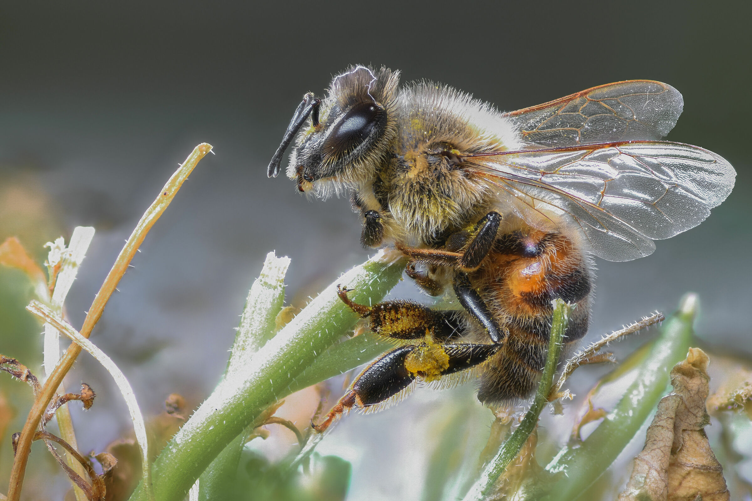 Aspettando la primavera