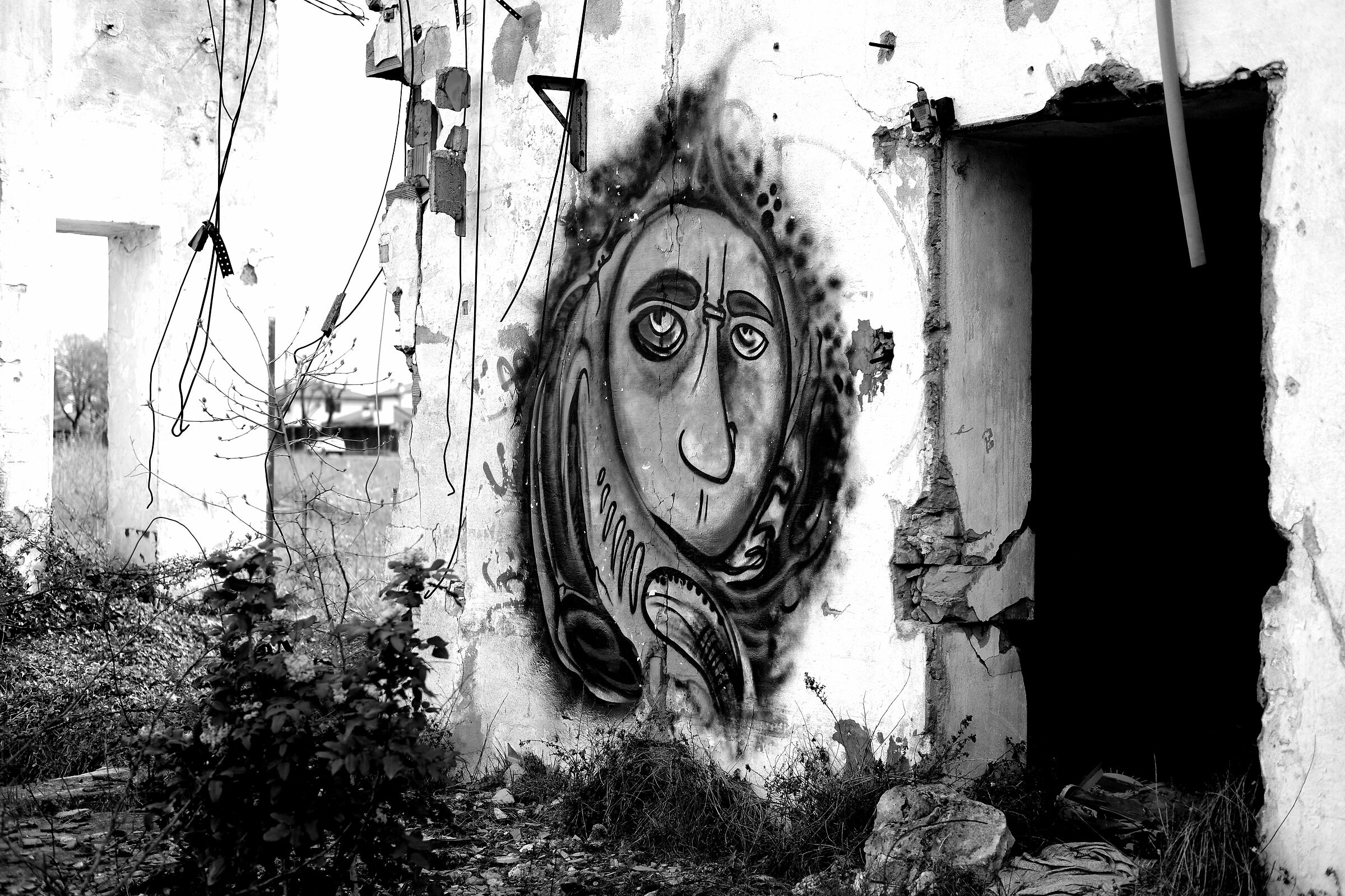 A glimpse of the ruin