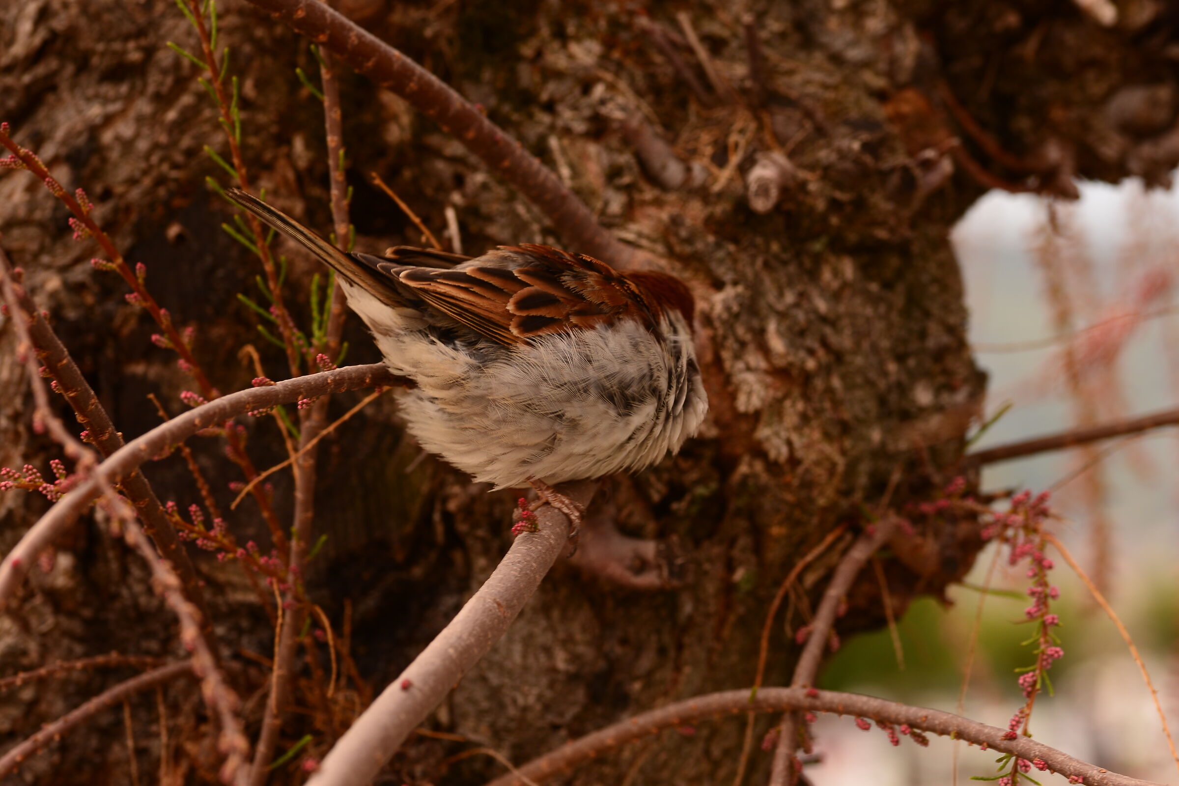 Excuse my shoulders....