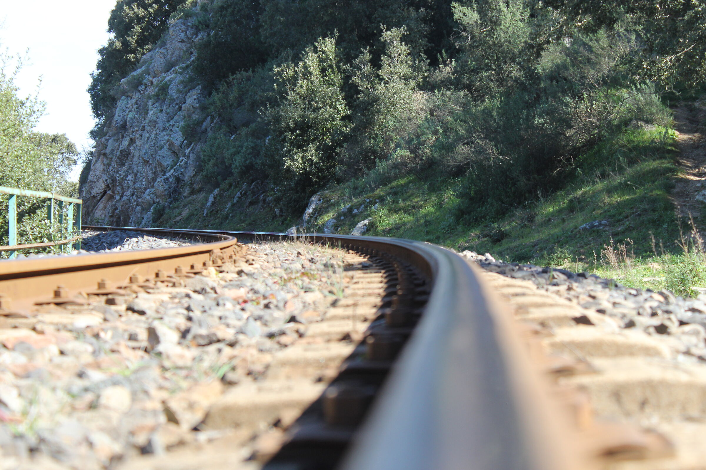 The Railroad