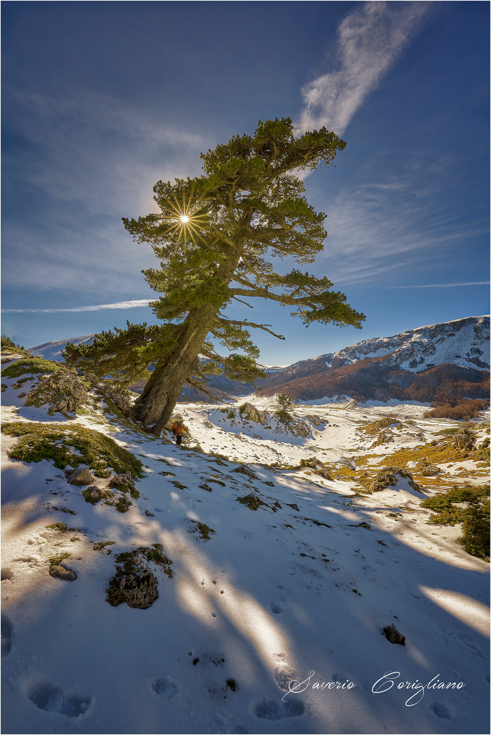 Pollino National Park