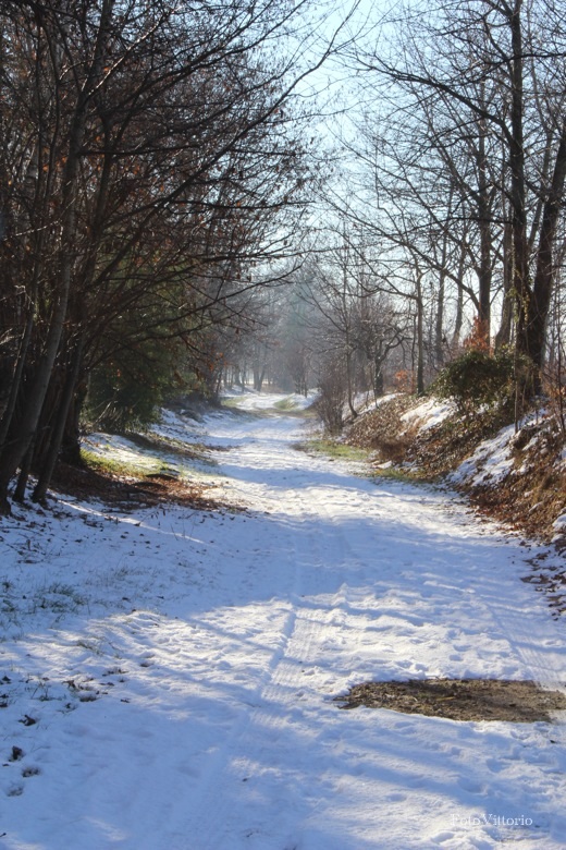 Il cammino della neve
