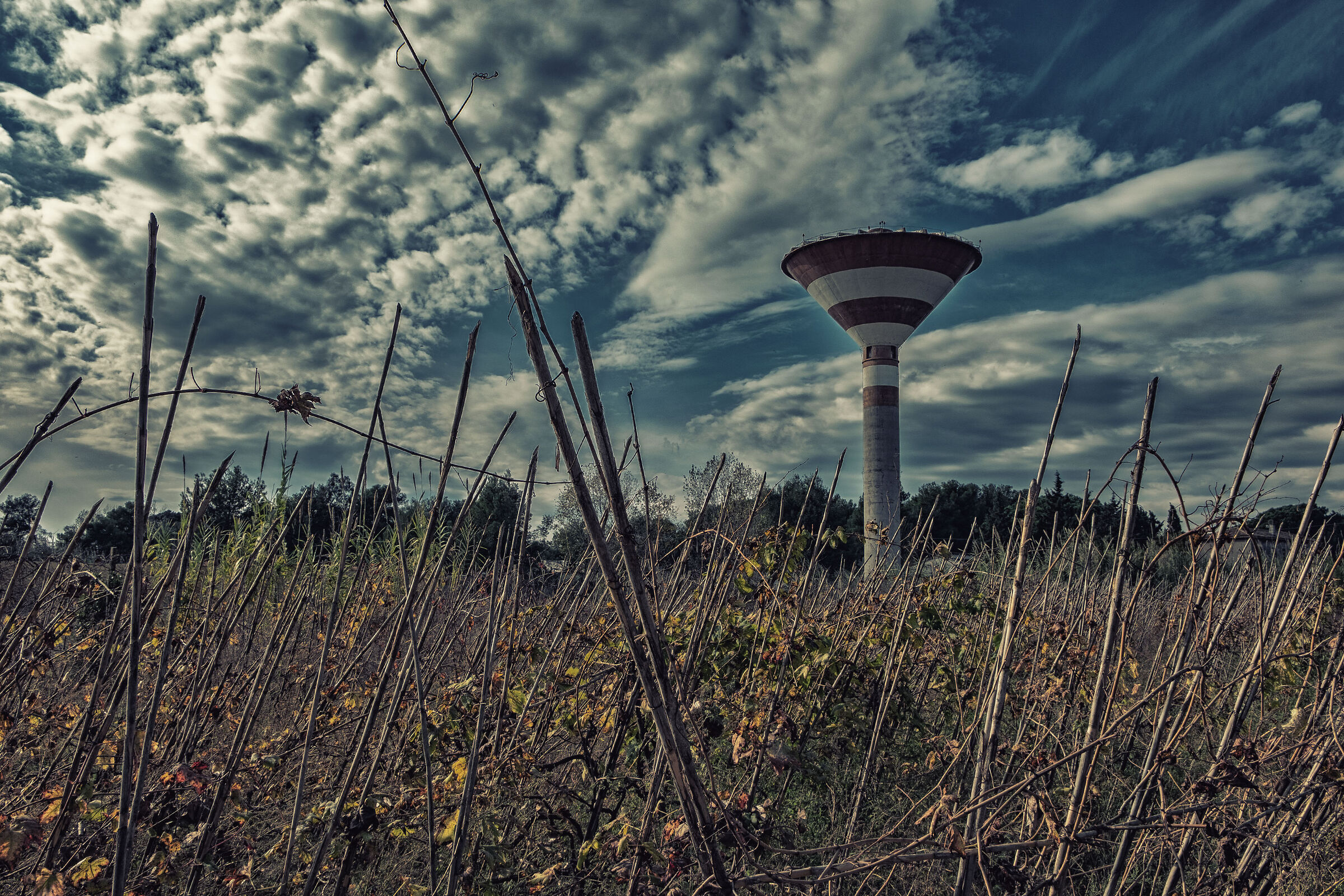 The Aqueduct between the Vines