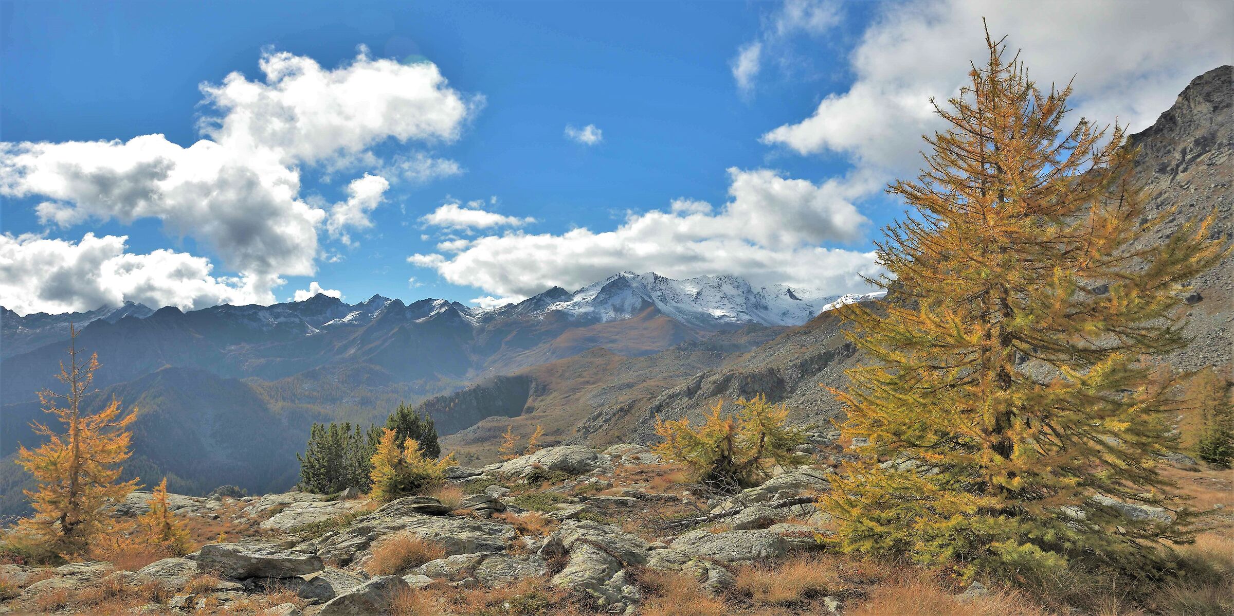 I have to go down and return to the car