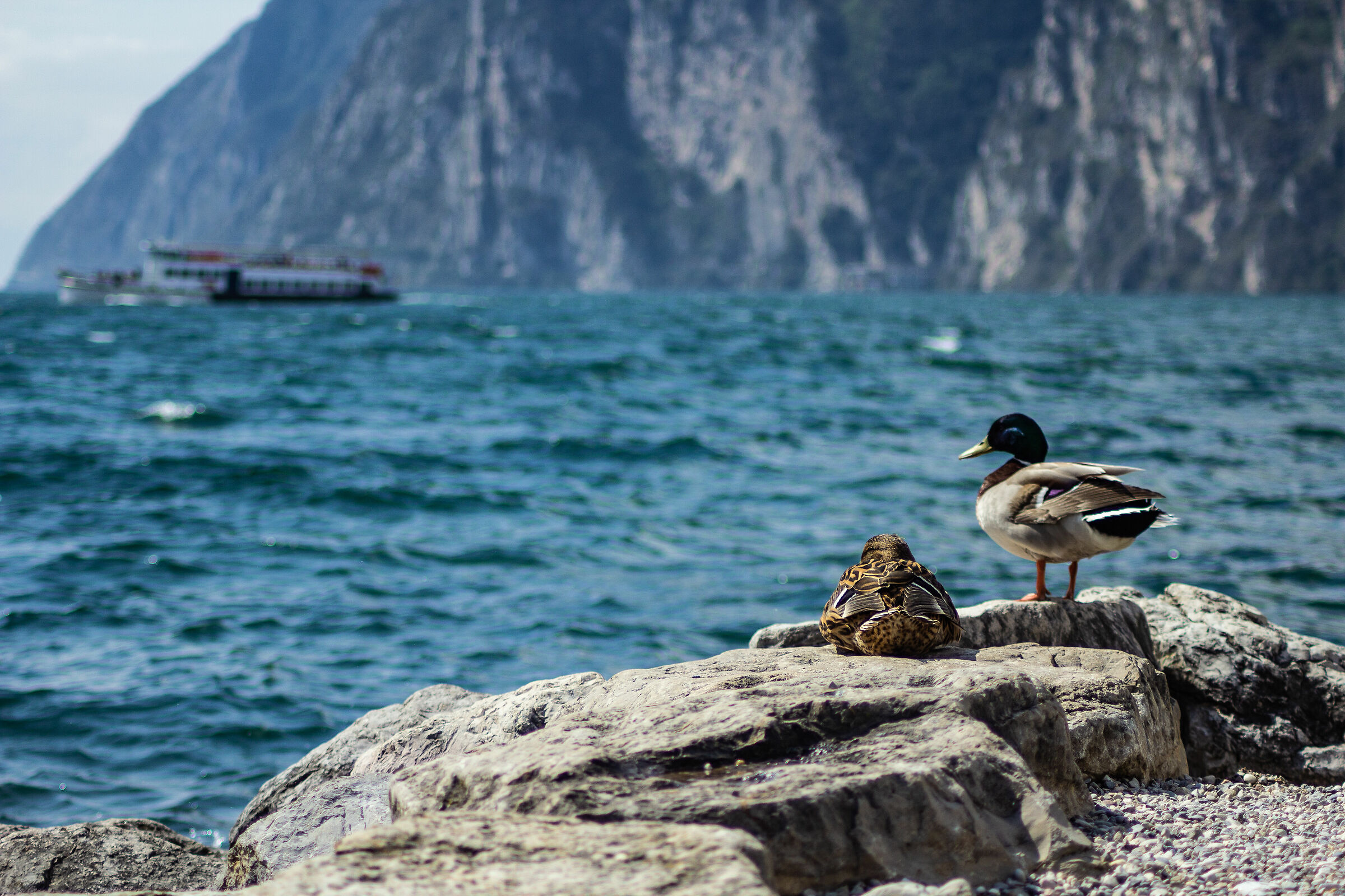 Just wait the moment