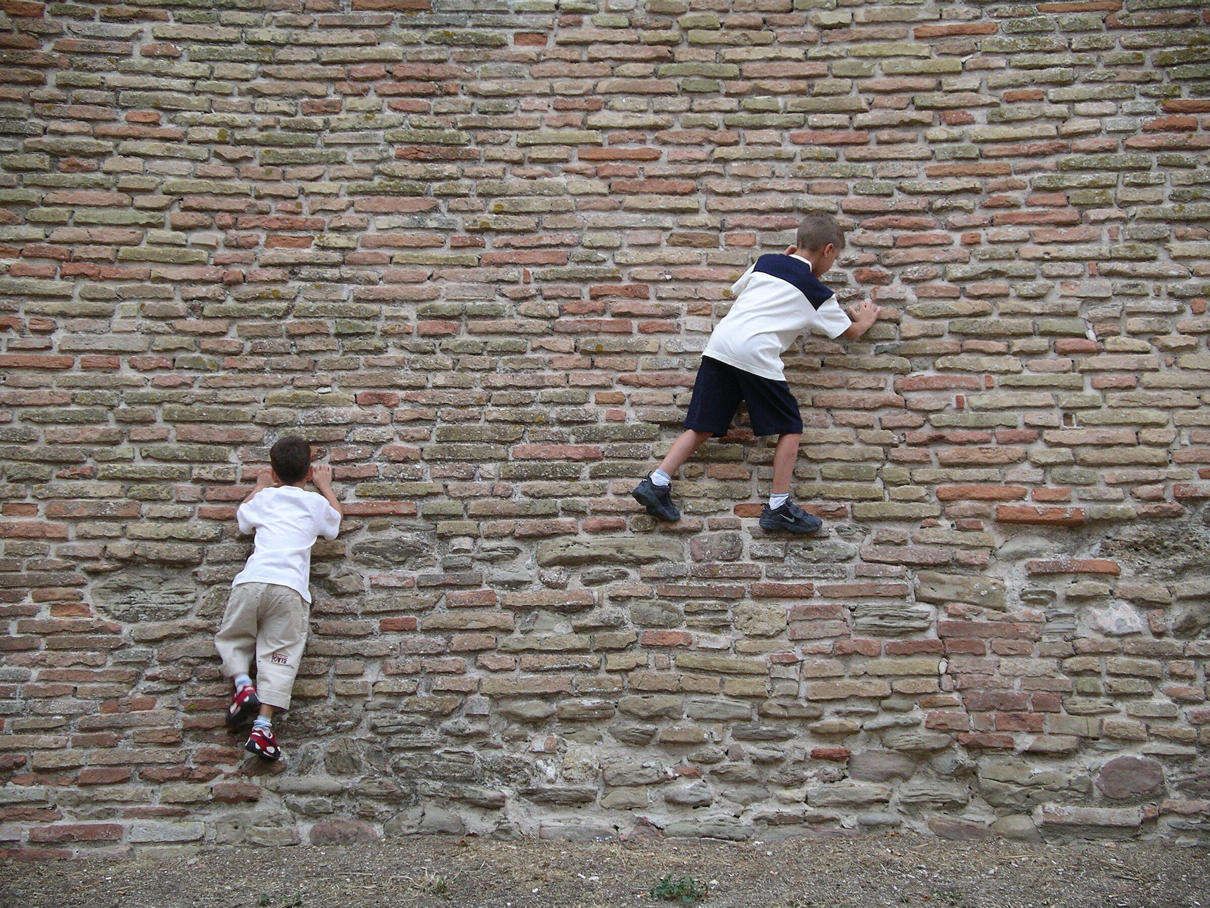 Arrampicatori sociali