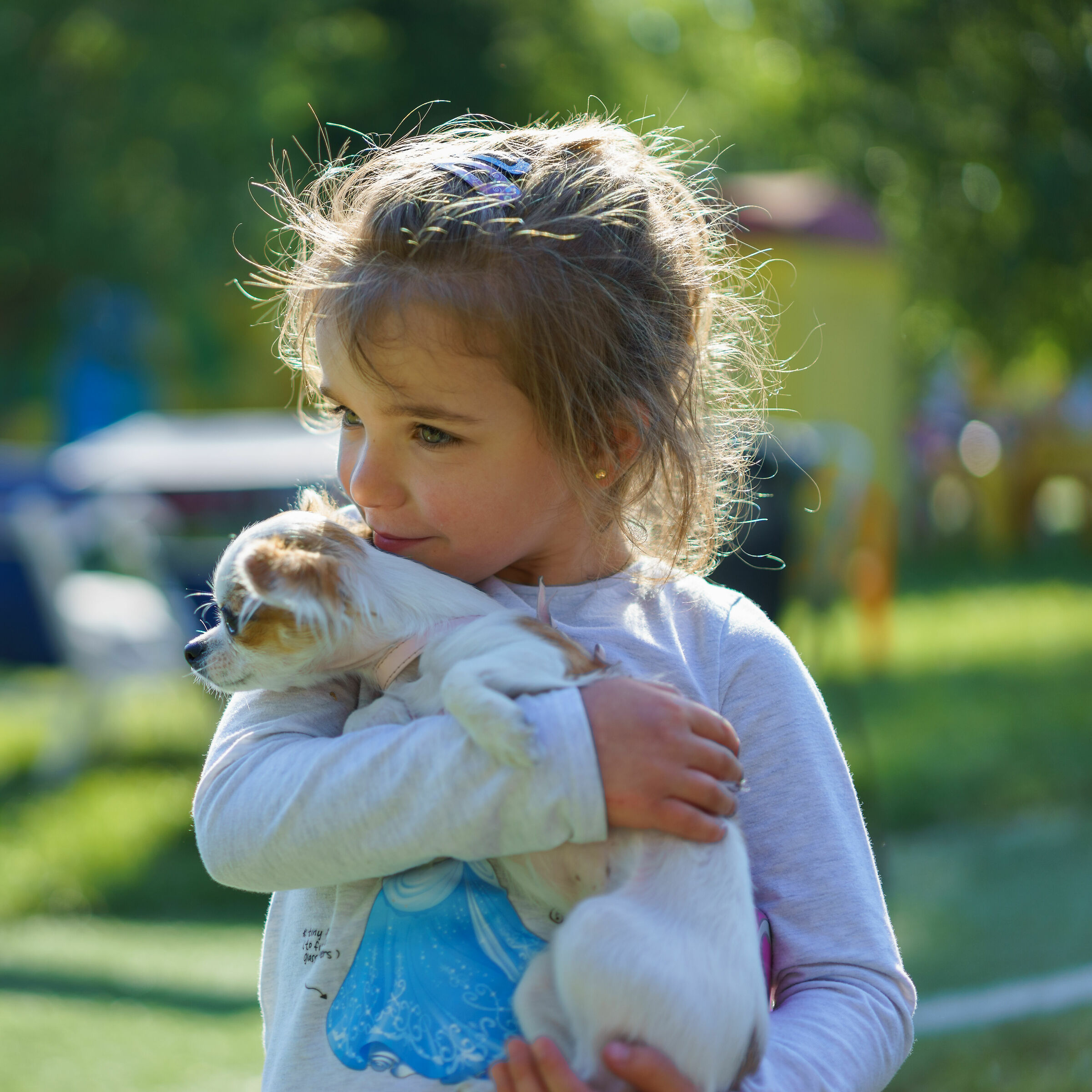 Cuddles between puppies