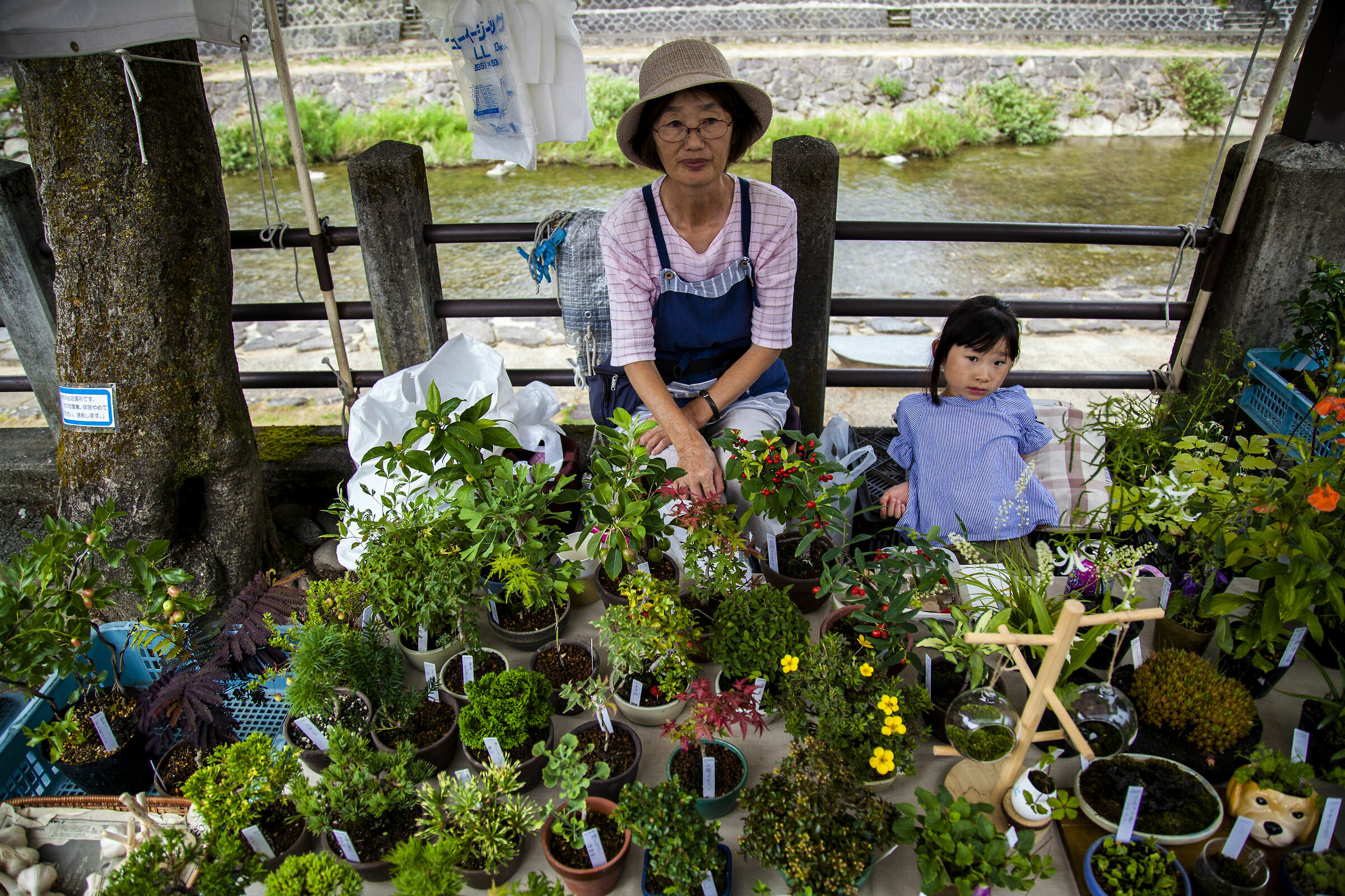 Takayama's Market