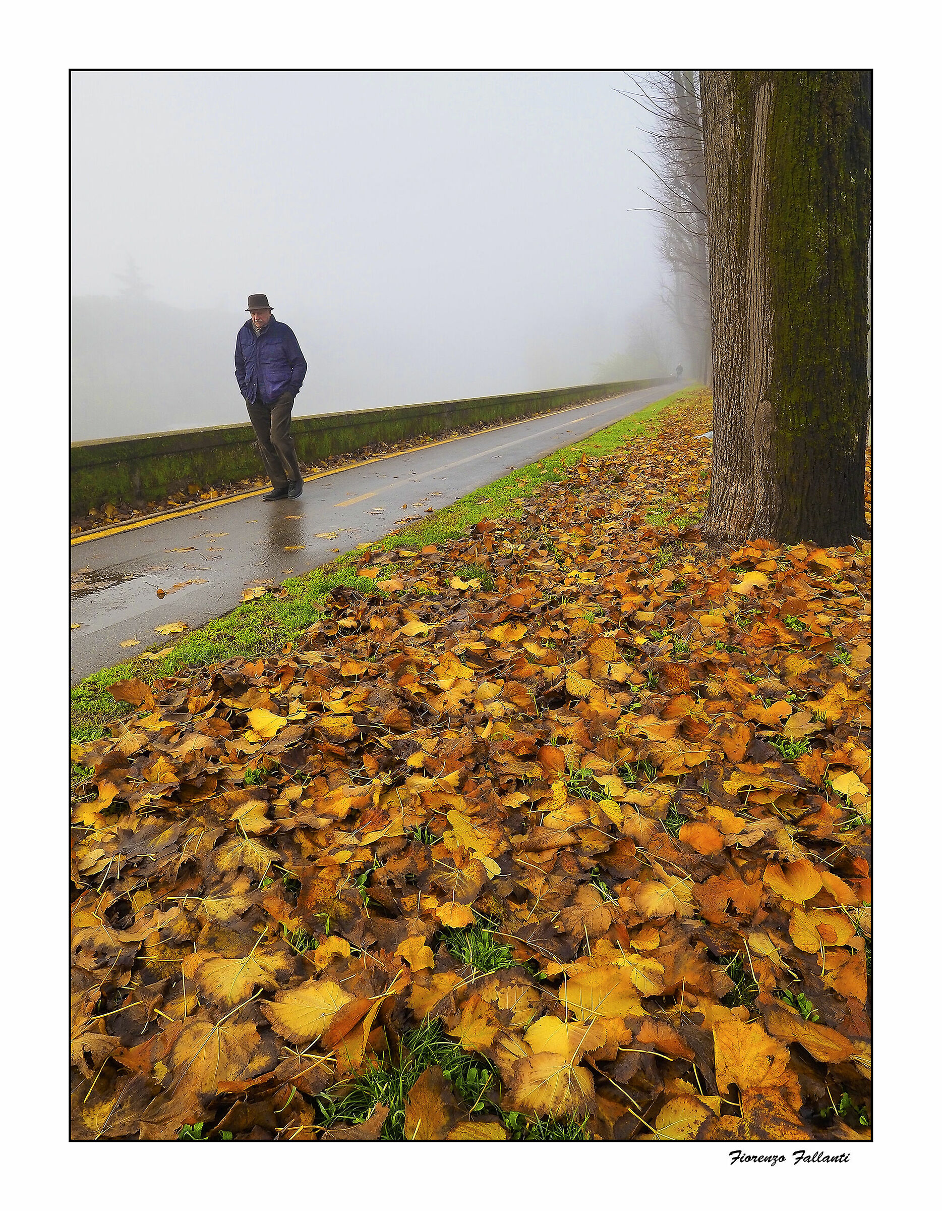 Malinconie autunnali