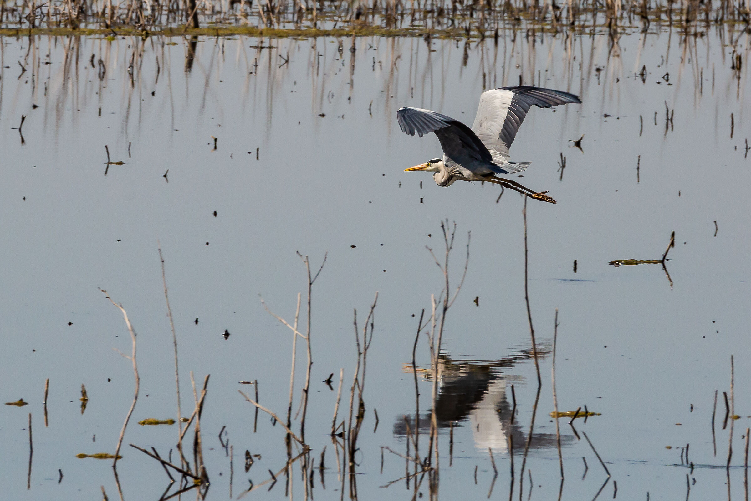 First Photographic Hunting Tests