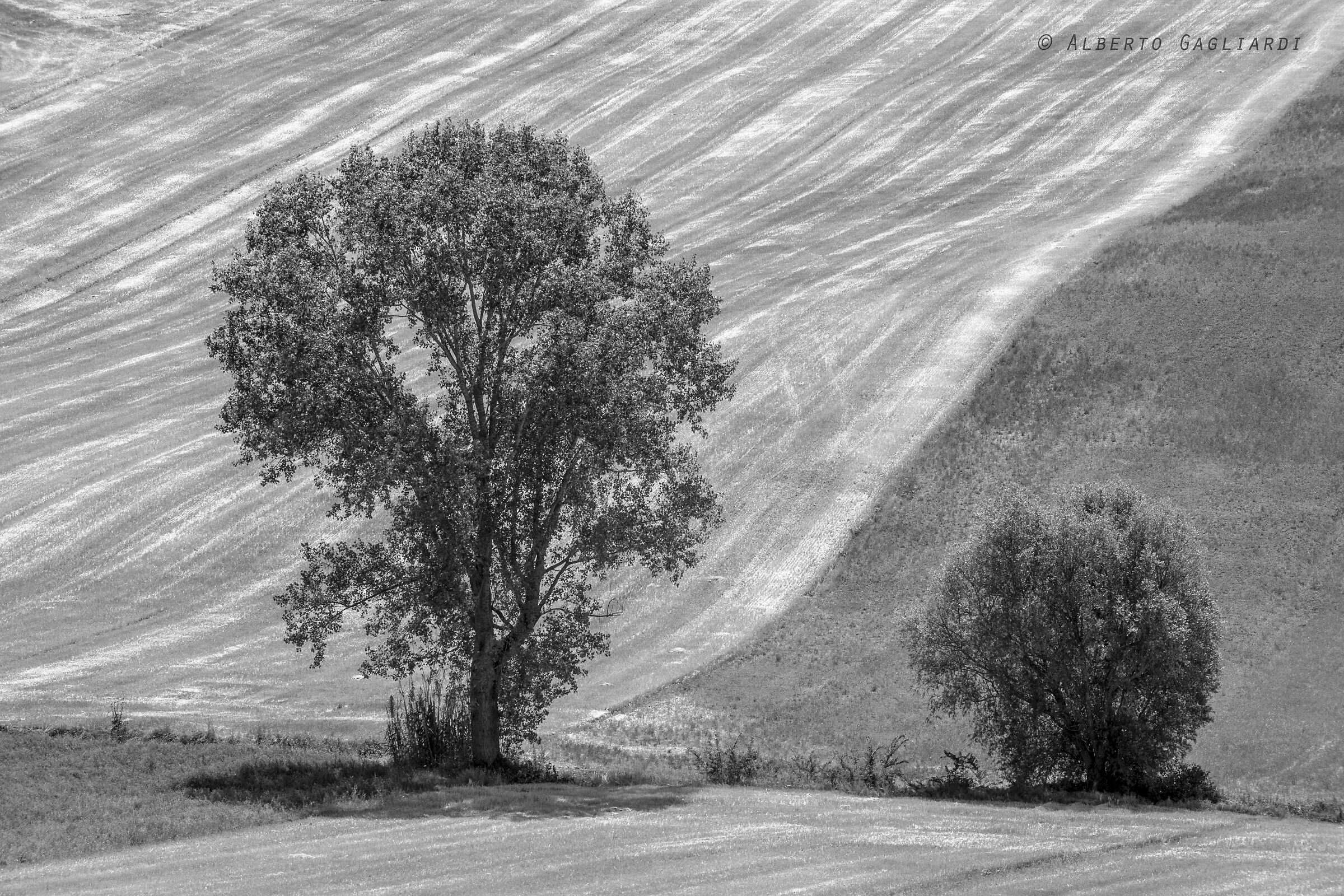 Umbrian Landscape