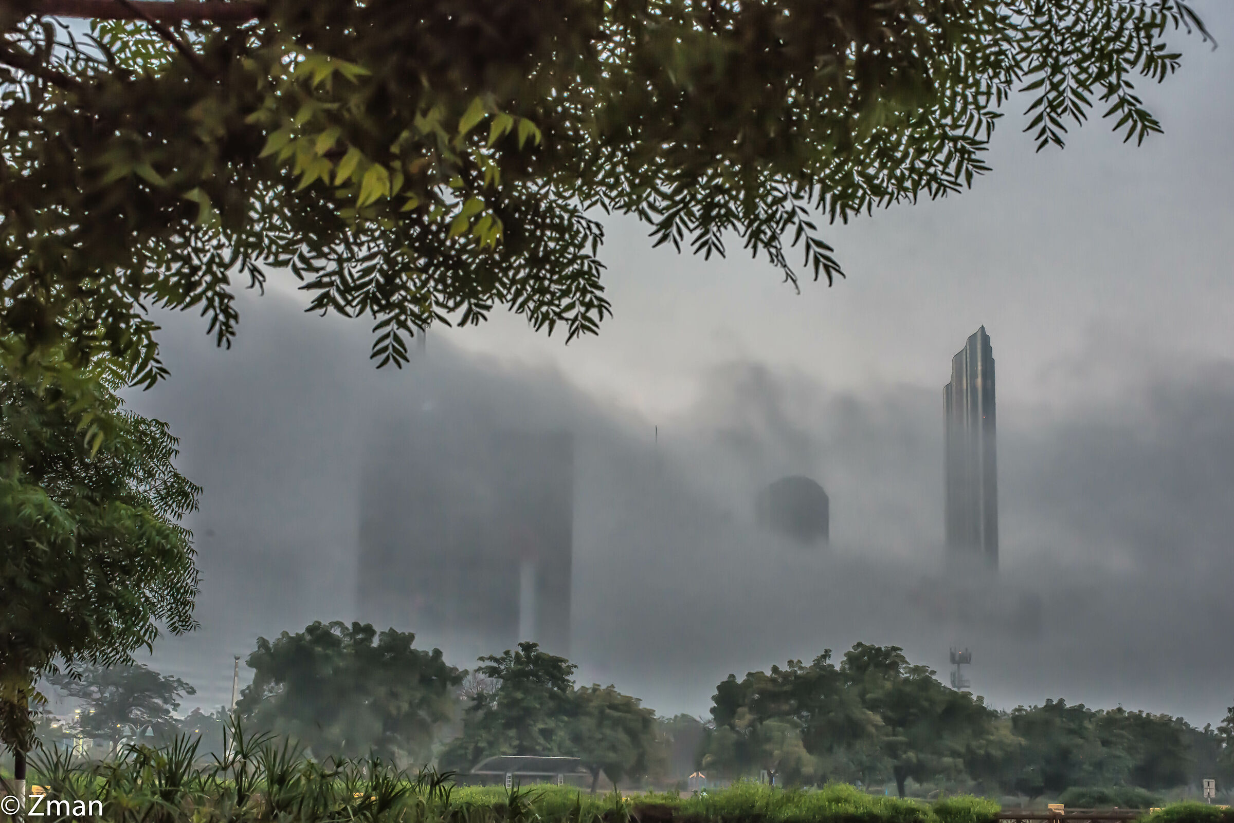 Copertura nebbia Abu Dhabi