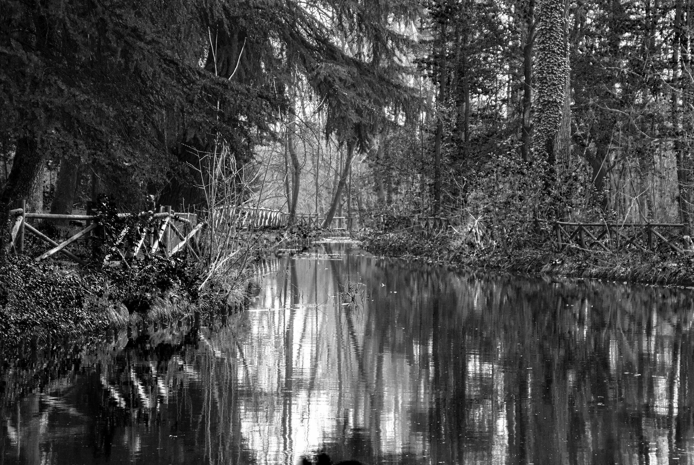 Nel bosco delle fiabe...