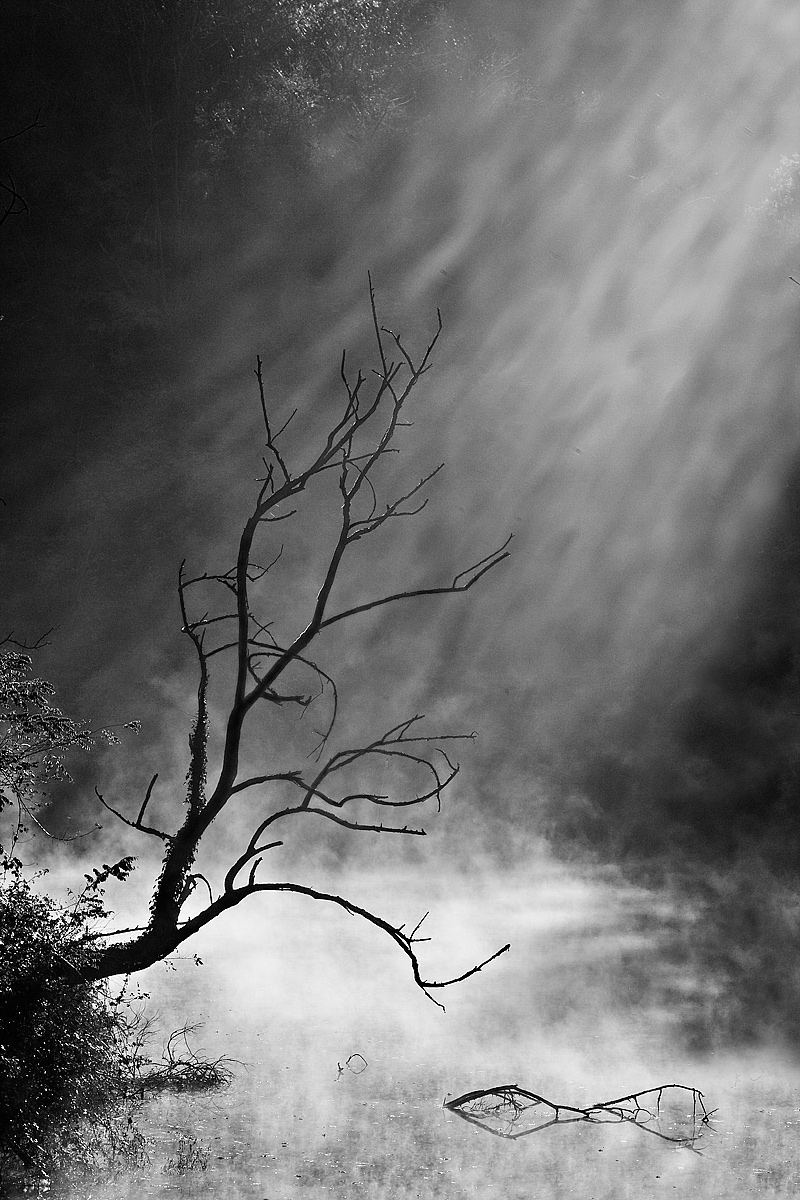 Between dream and reality