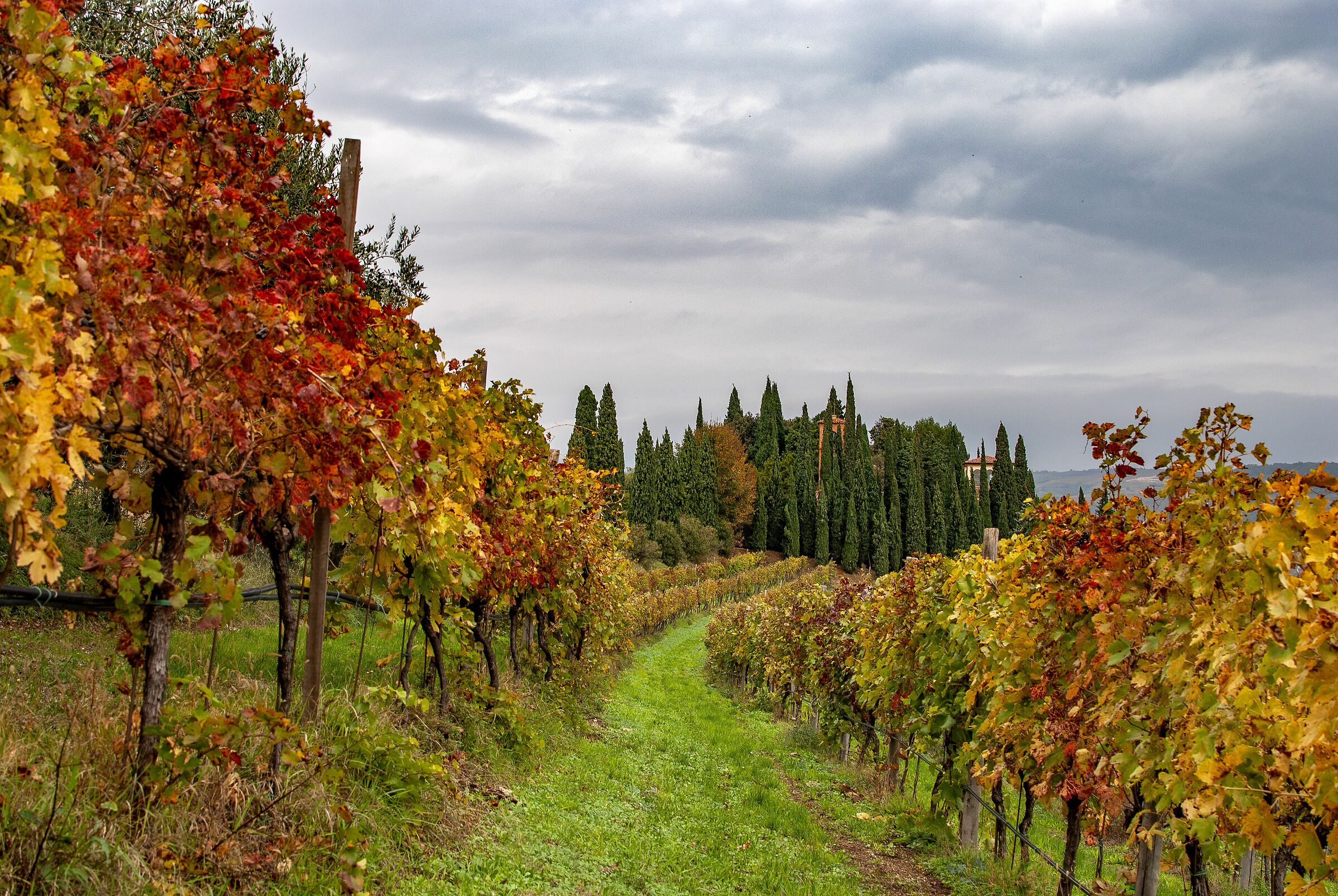 Autunno ad Illasi (Vr)