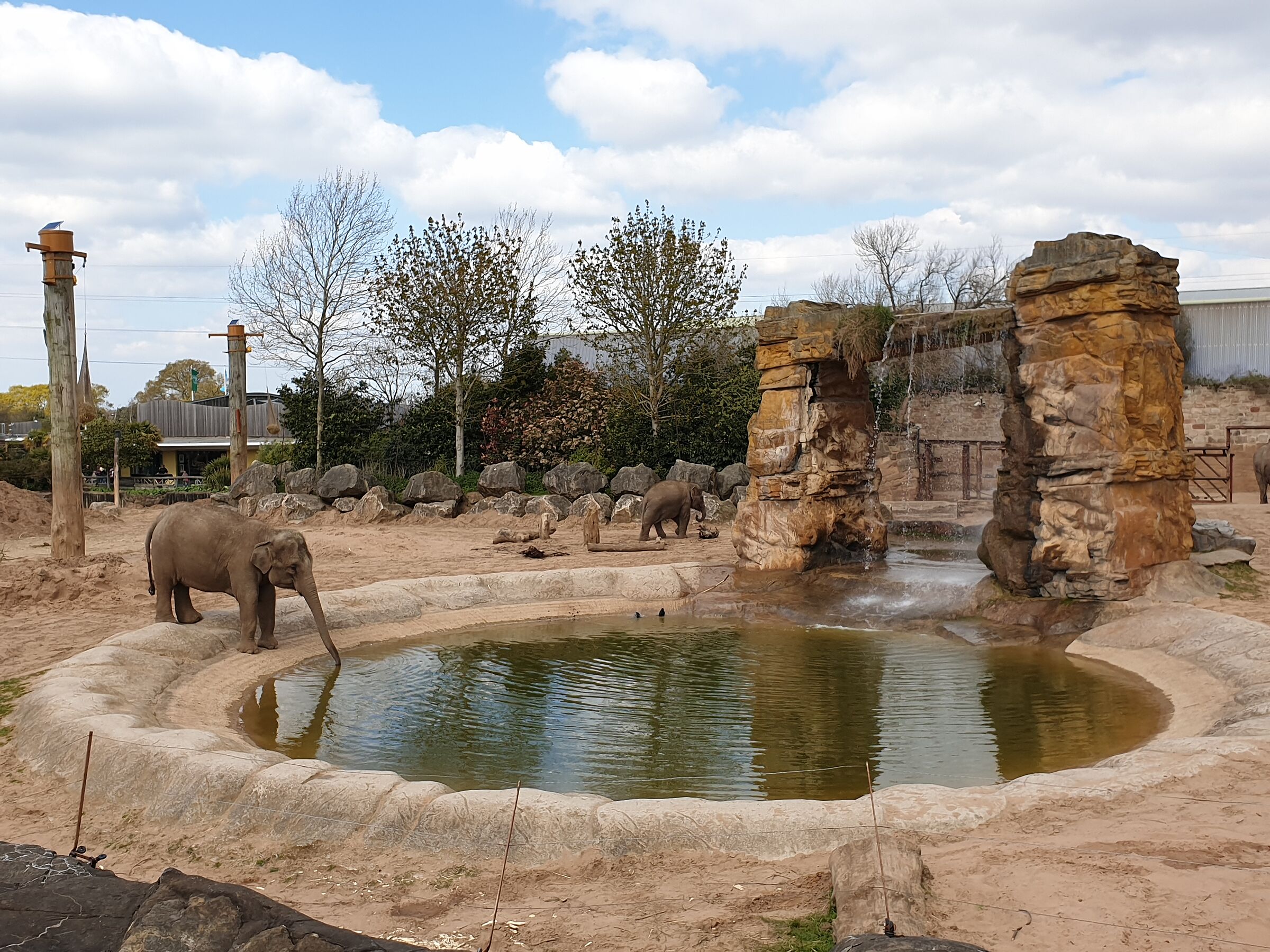 Chester zoo