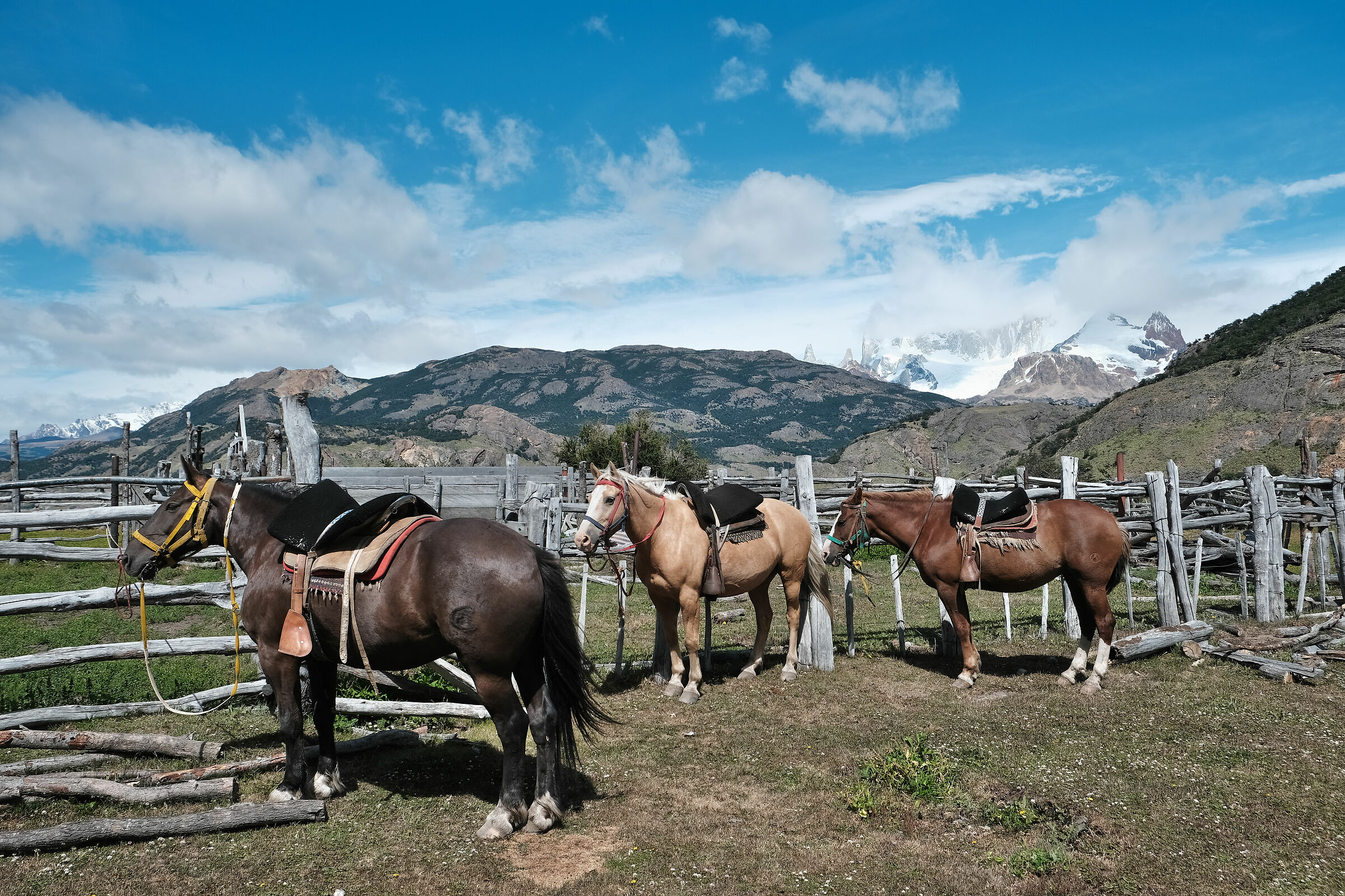 Ai piedi del Fitz Roy