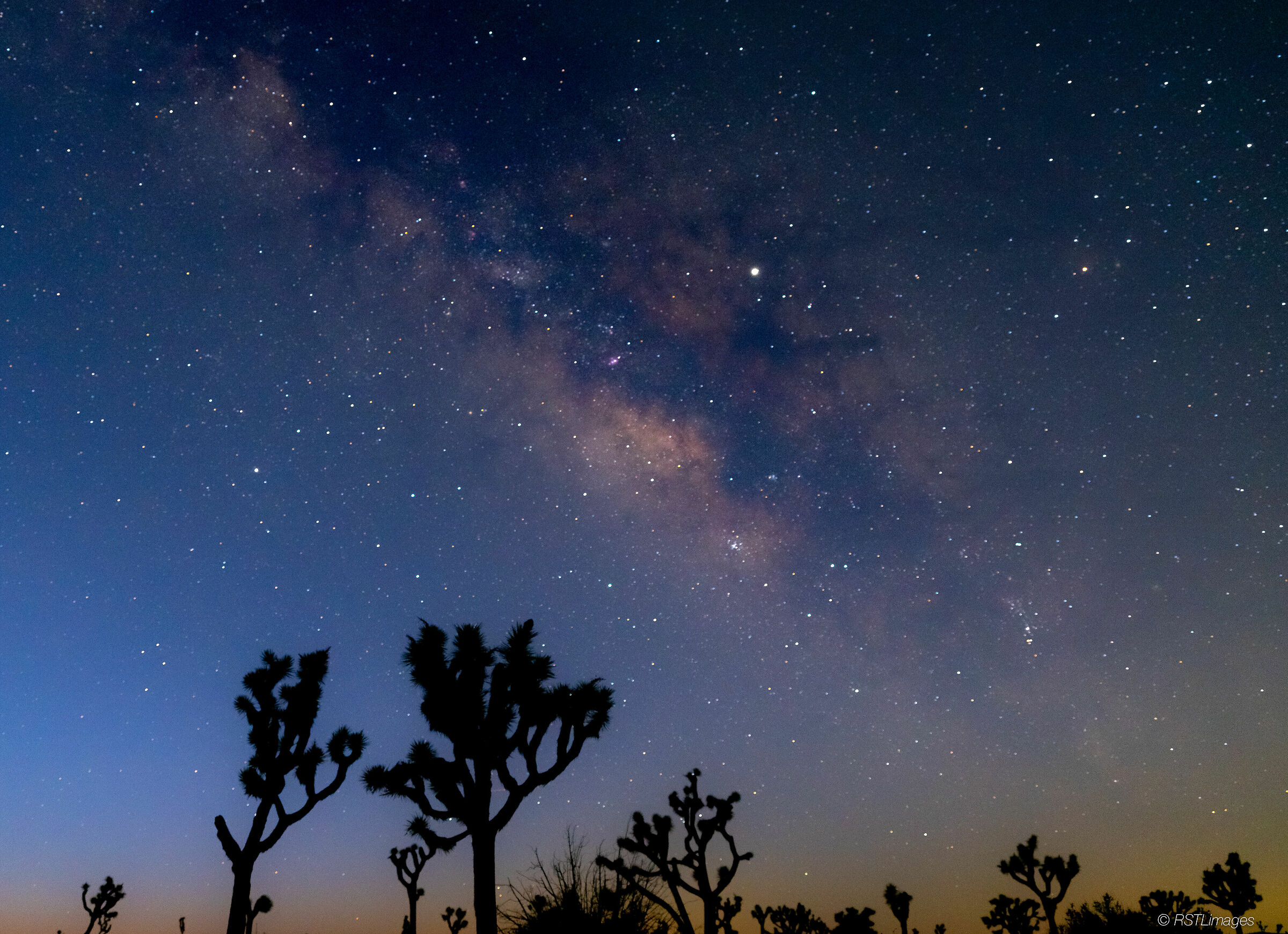 Milky Way over Joshua Tree