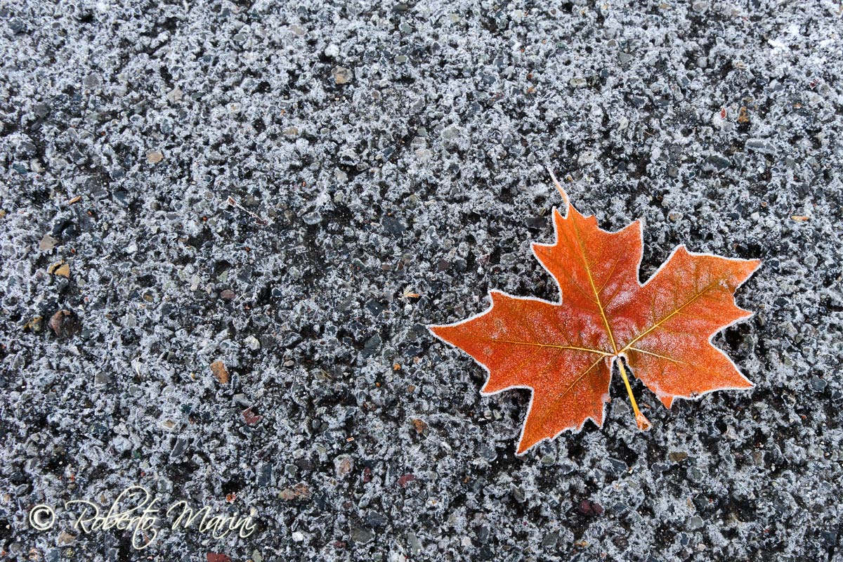 the fall and beyond!