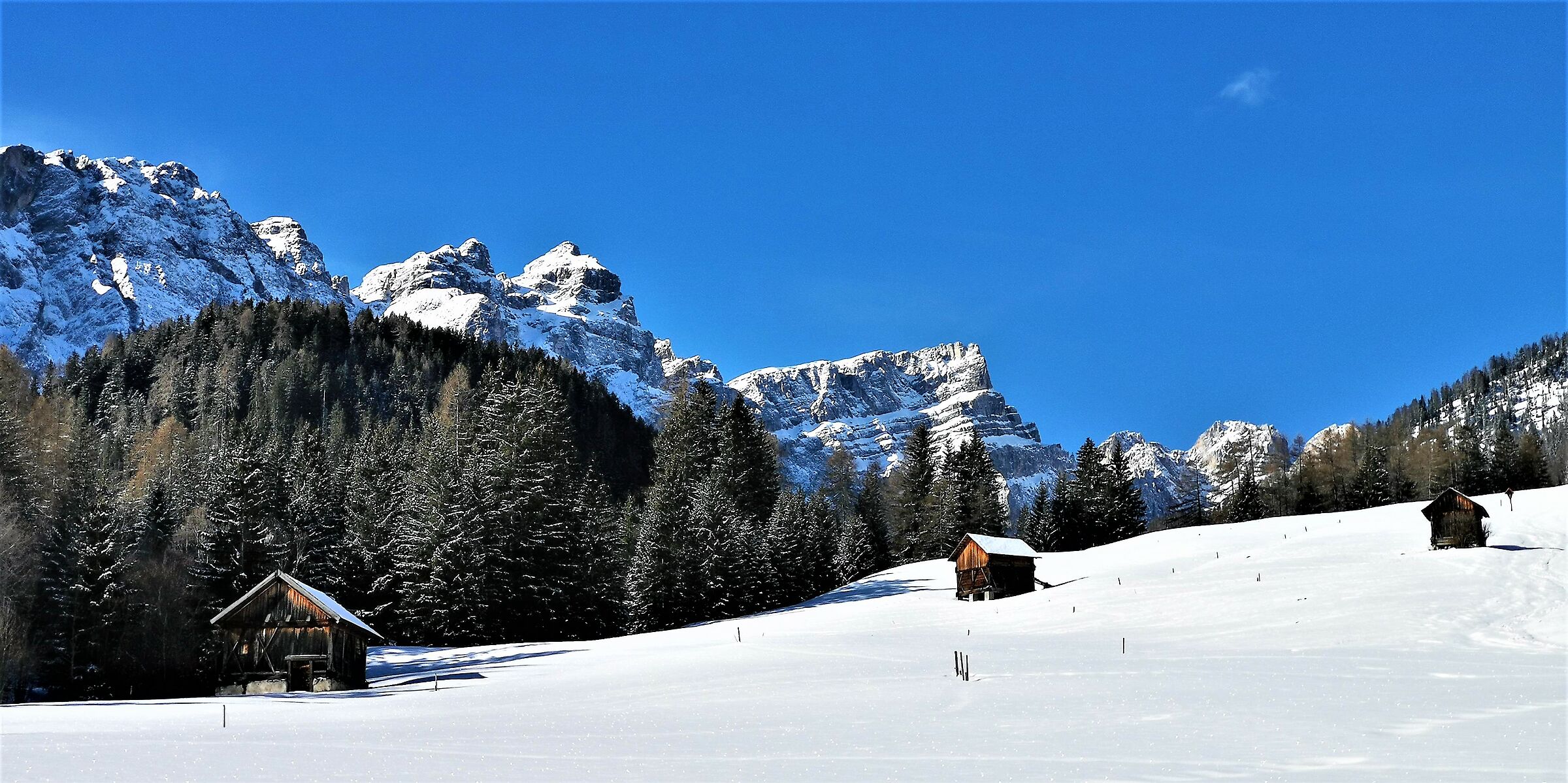 Hopefully last snow-1-