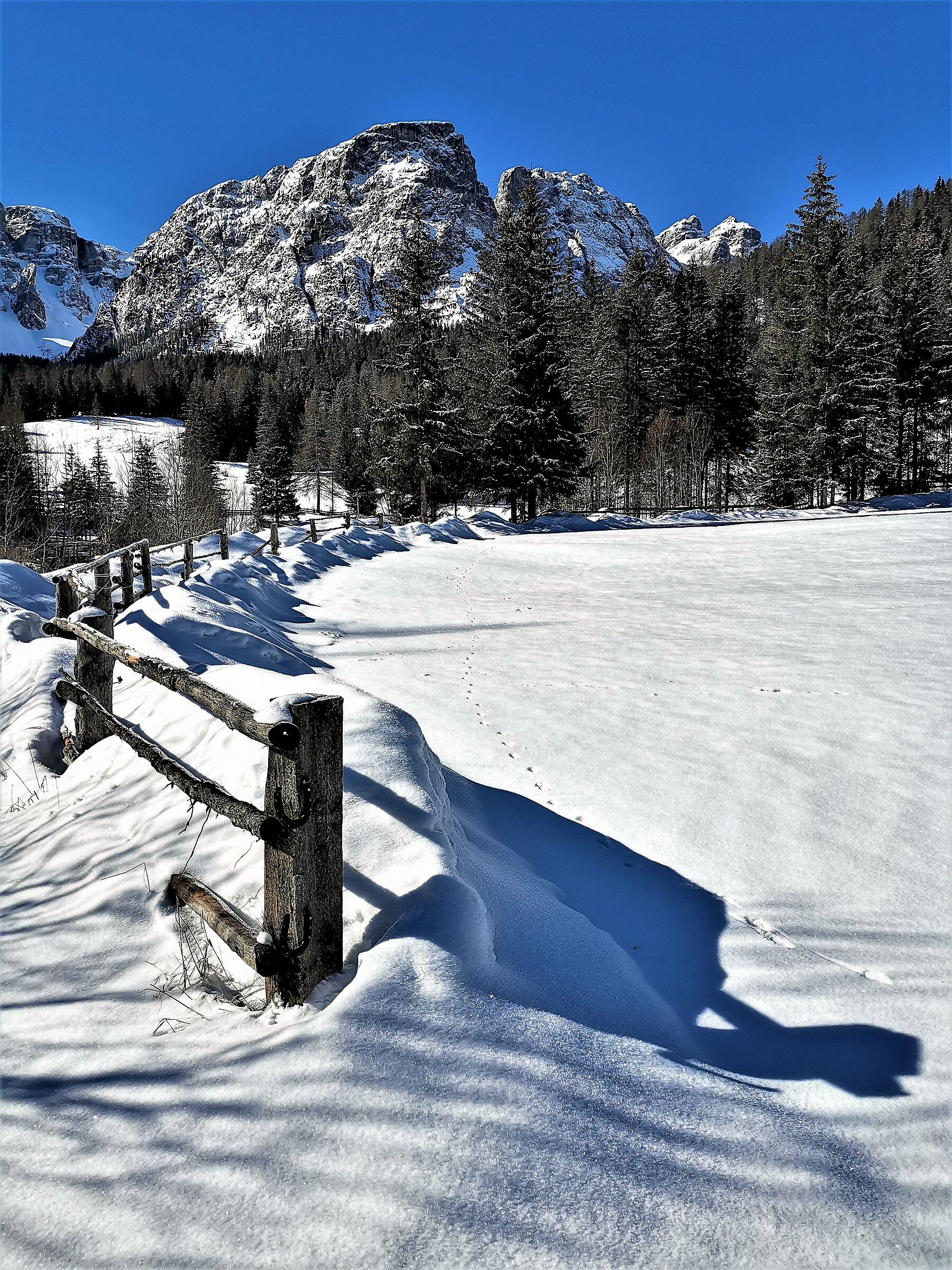 Si spera ultima neve -2-