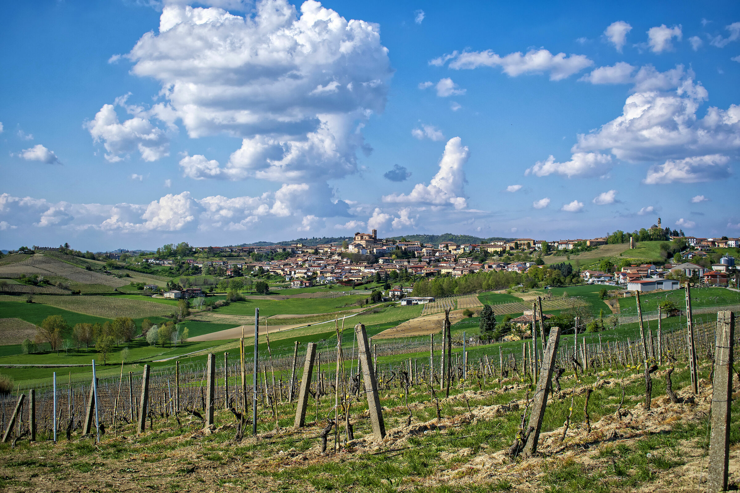 Casorzo among the vineyards of Malvasia
