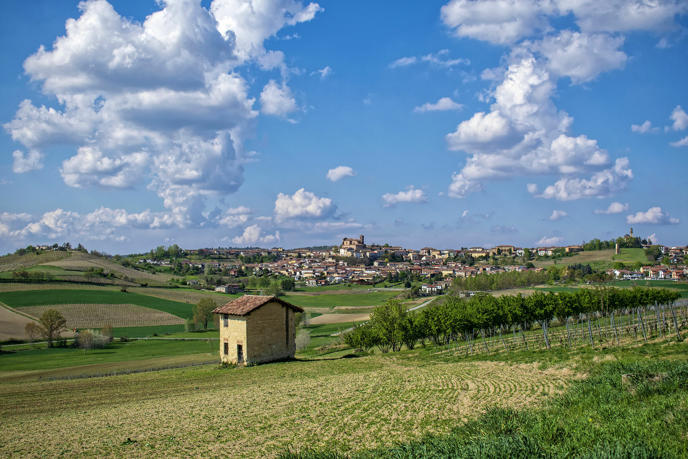 Casbarley Country View