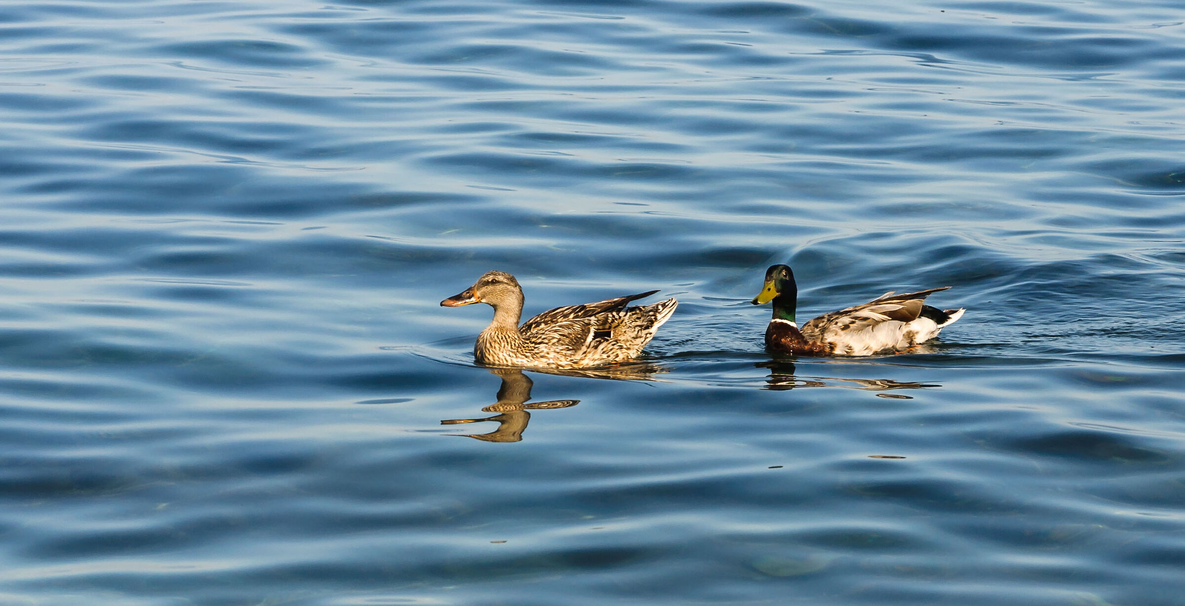 Look dear..... Maybe He'il put us on Juza!!!!