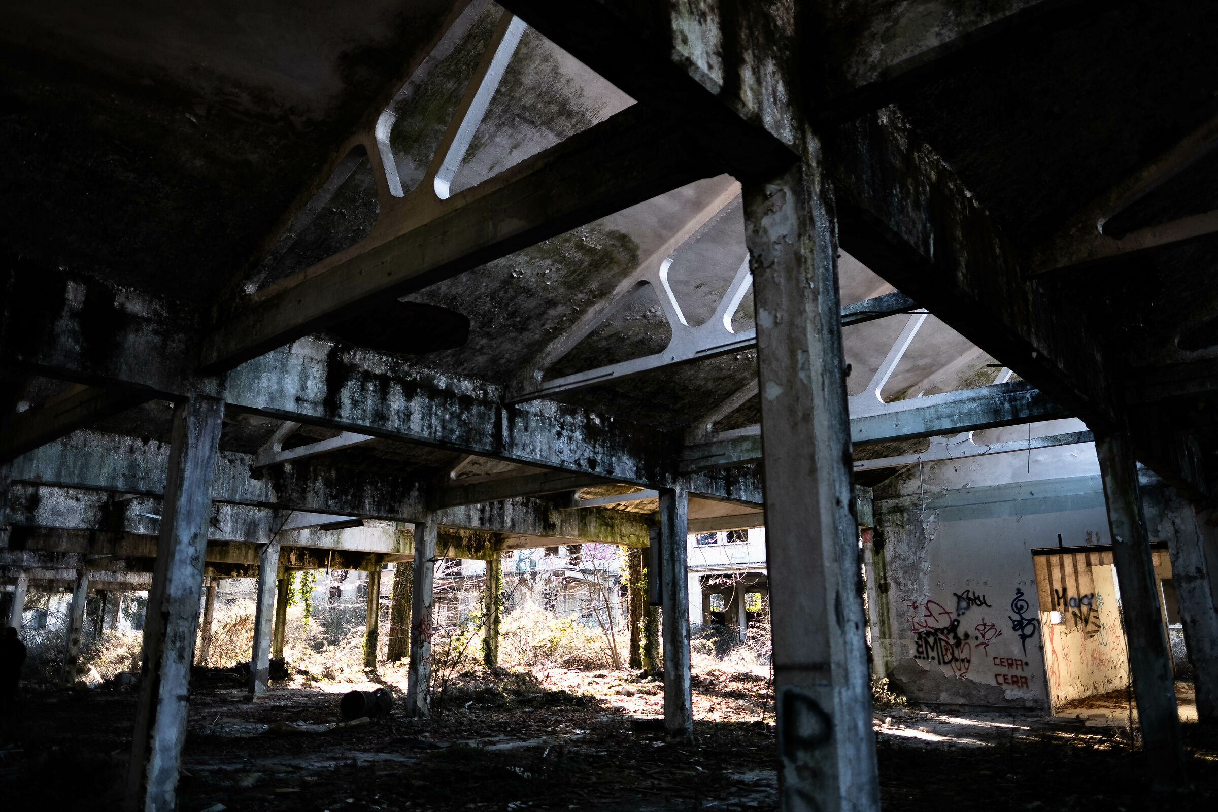 The house inside....