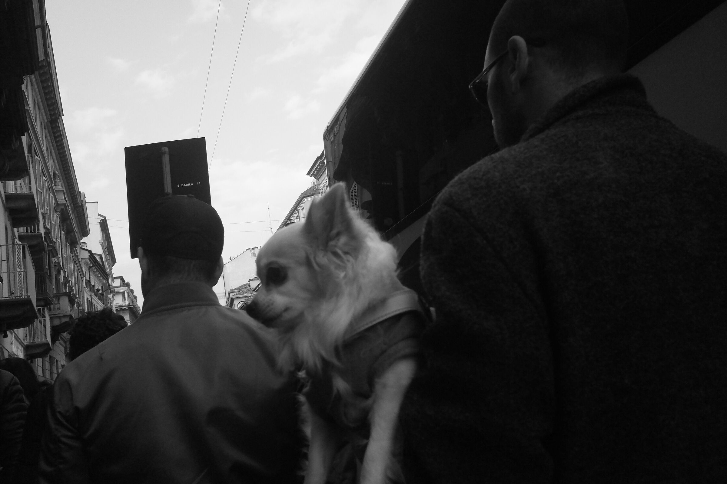 19