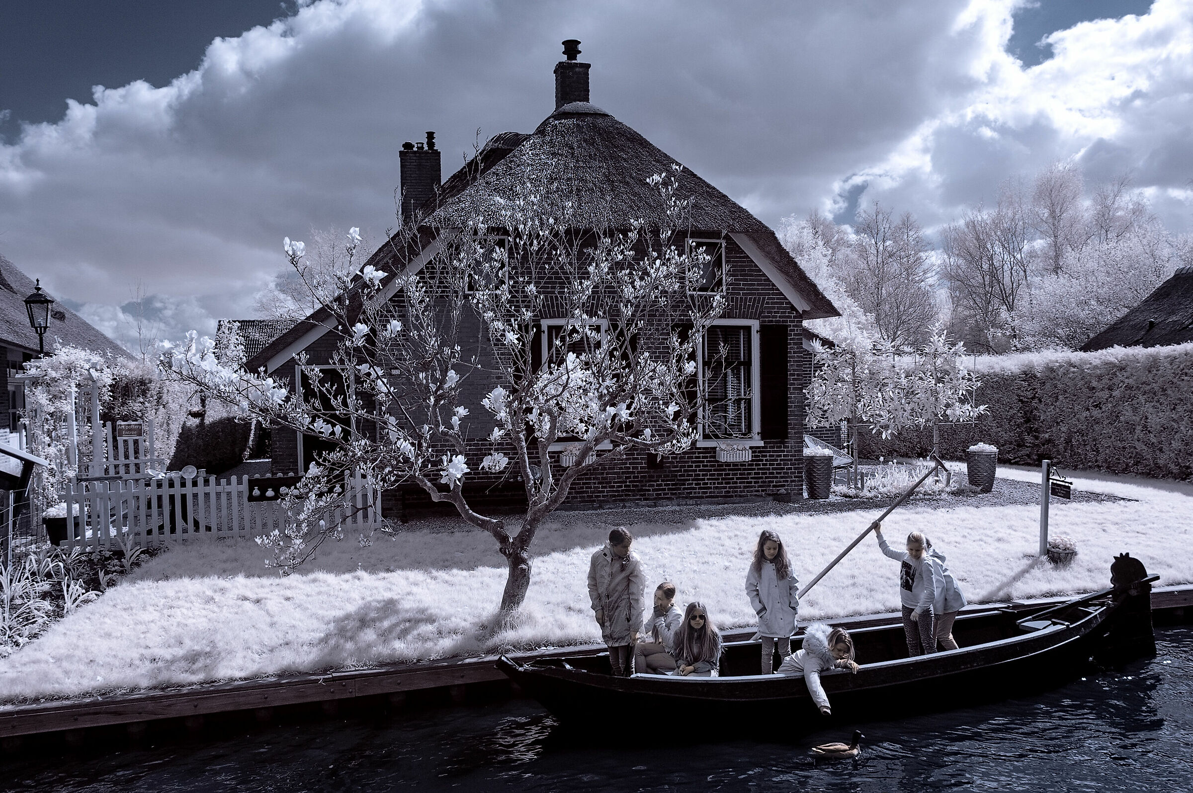 Una mattina in barca