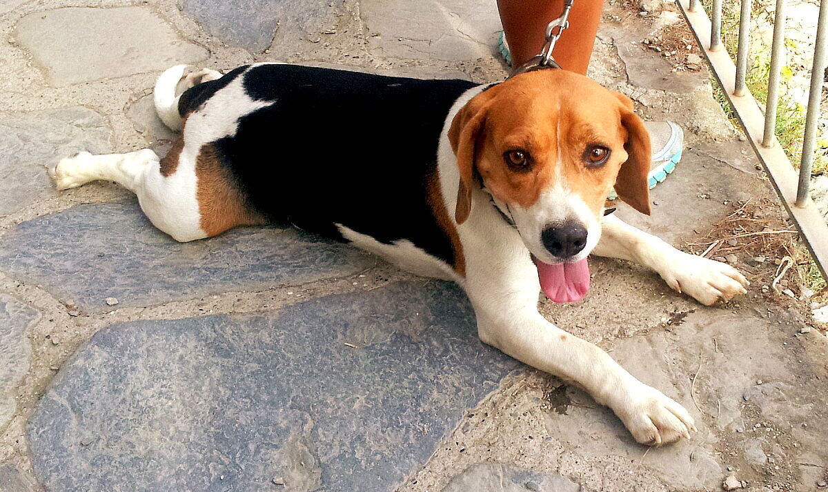 Here's a break we really wanted!