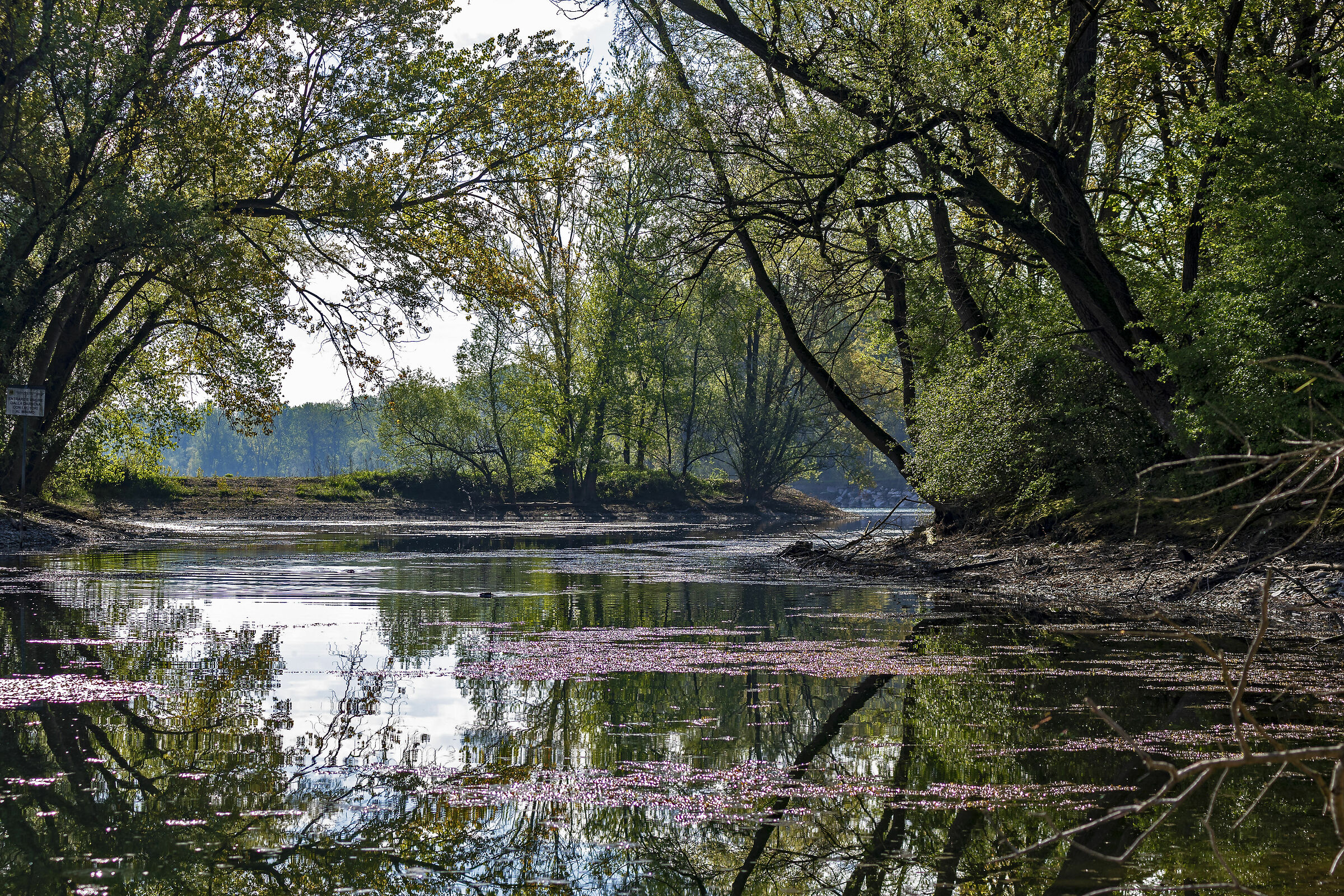 È sempre l'alba da qualche parte