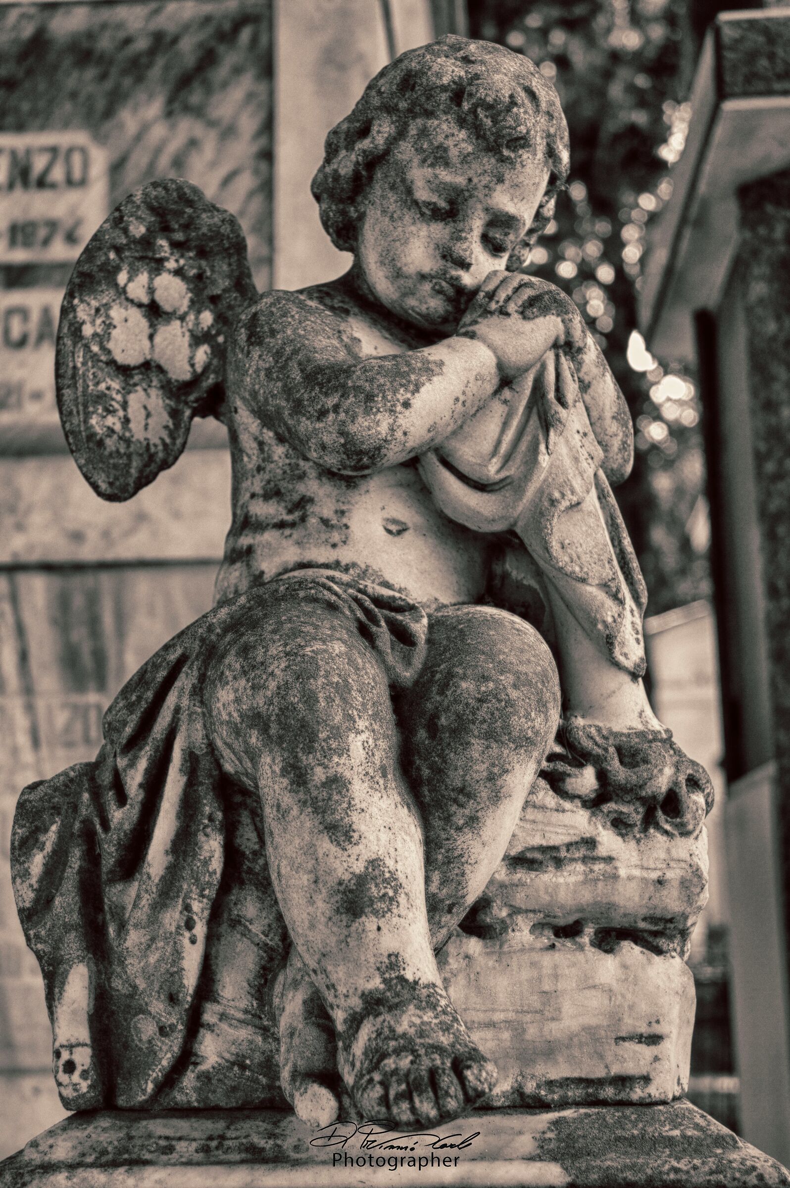 angel