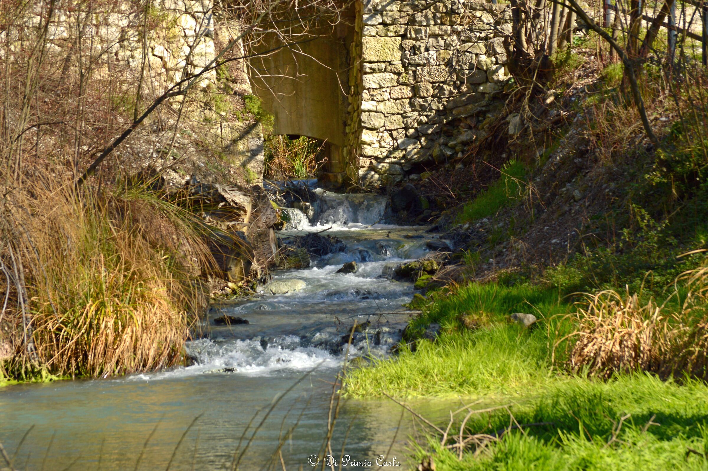 Parco Lavinio