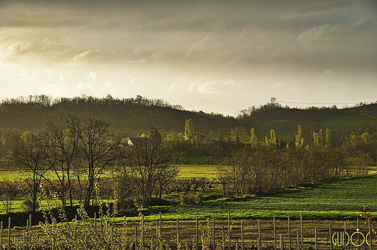 Spring Atmosphere in the morning