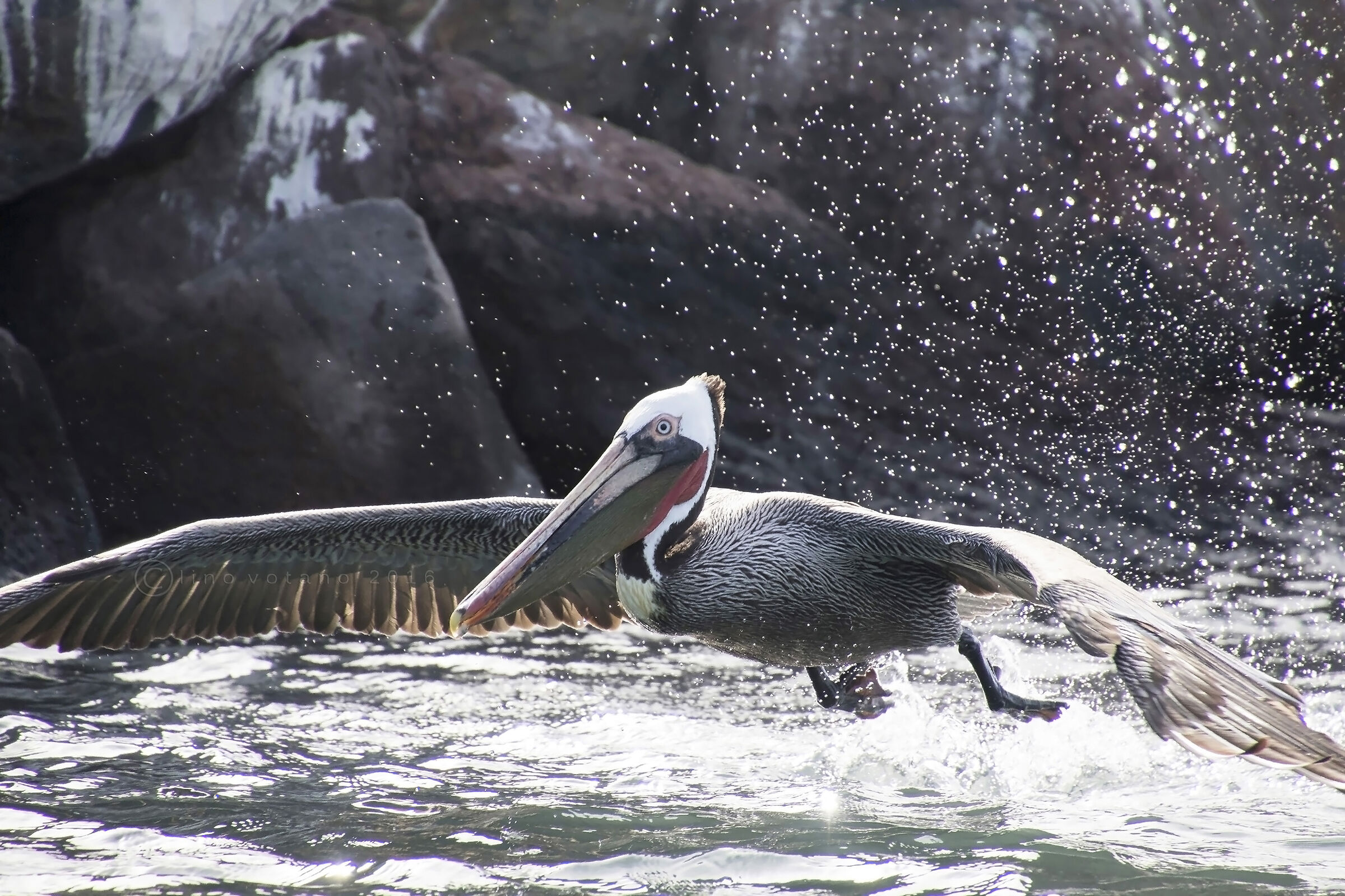 ...amigo non ci stai tutto